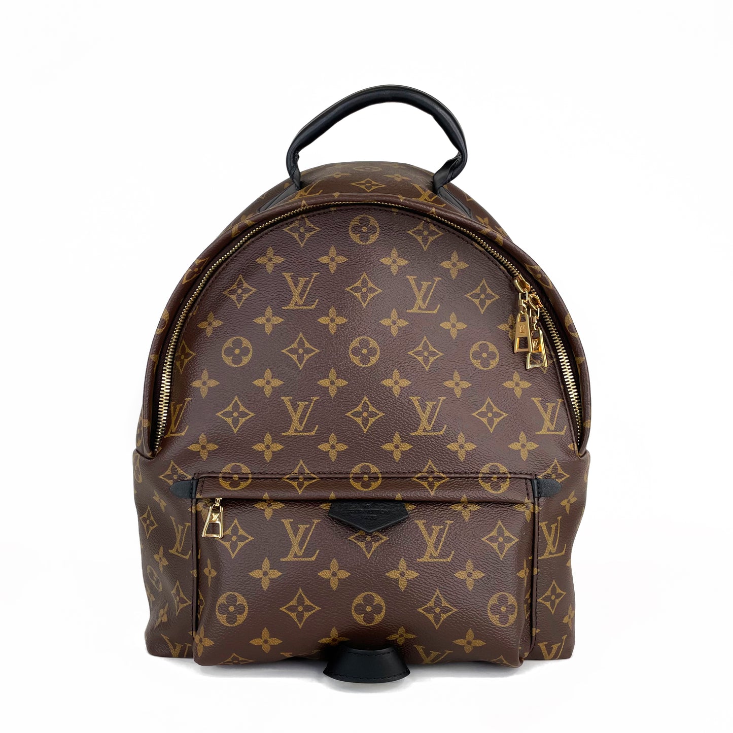 Louis Vuitton Palm Spring MM Backpack