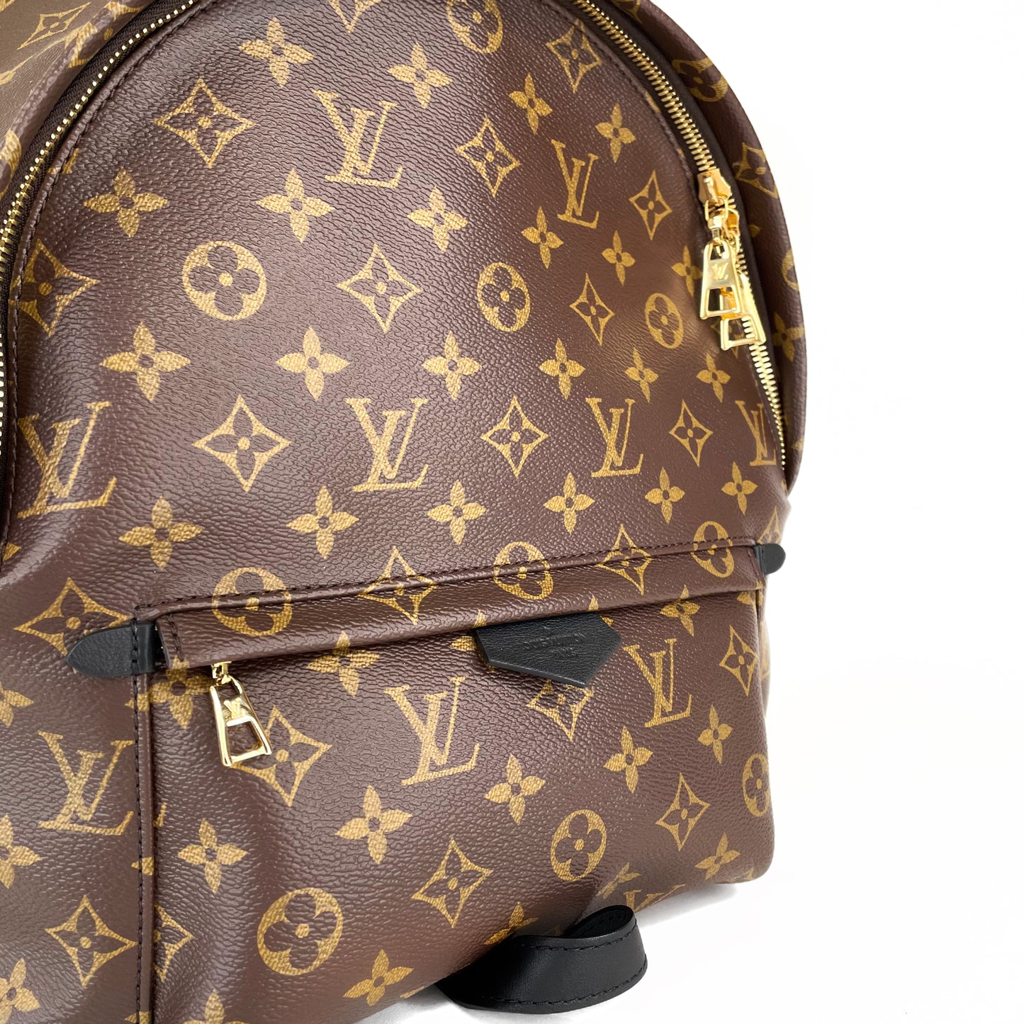 Louis Vuitton Palm Spring MM Backpack