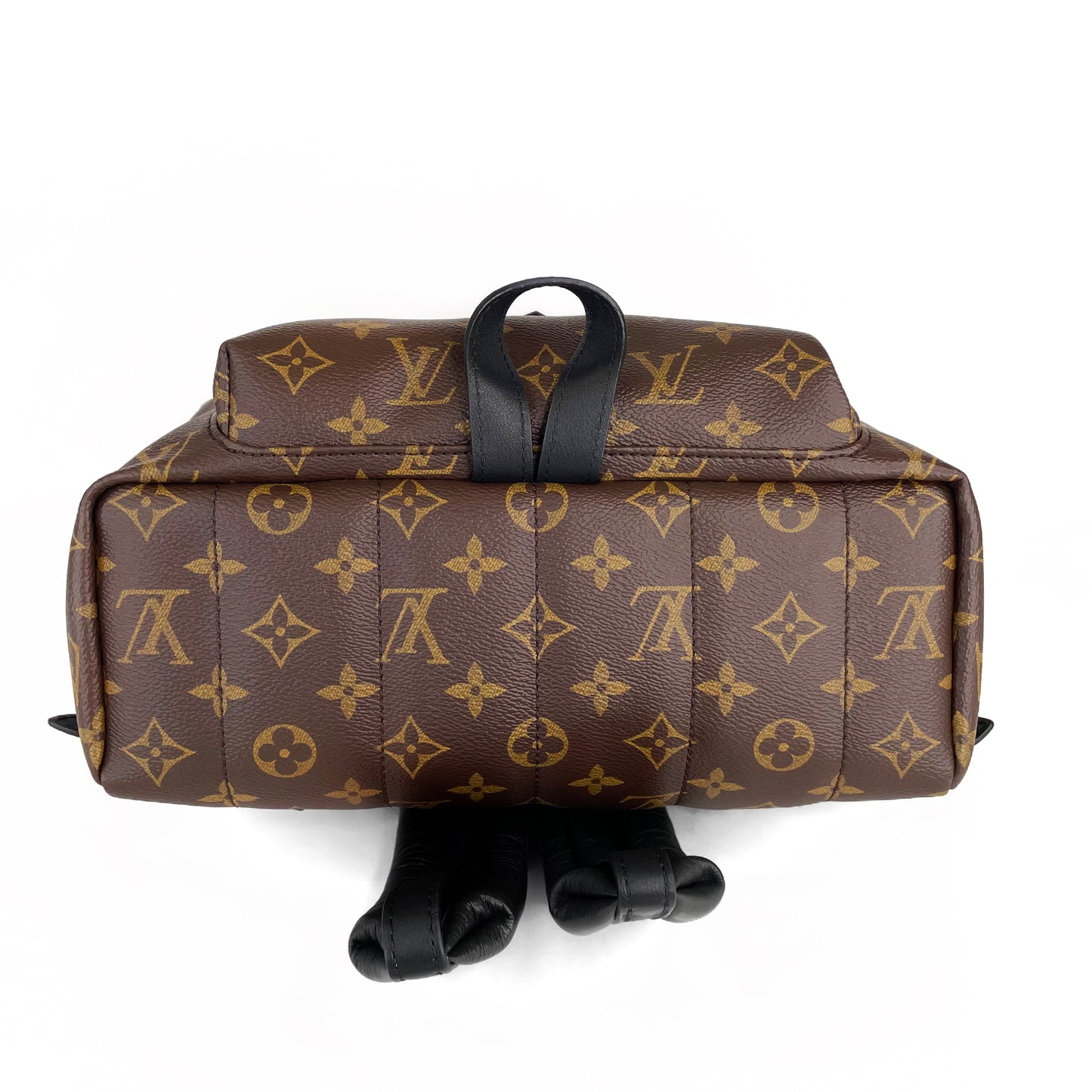 Louis Vuitton Palm Spring MM Backpack