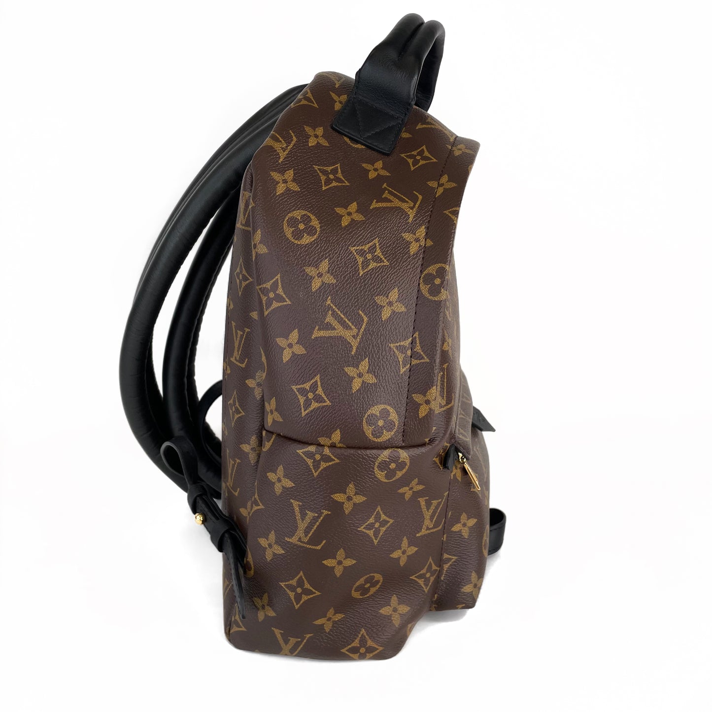 Louis Vuitton Palm Spring MM Backpack
