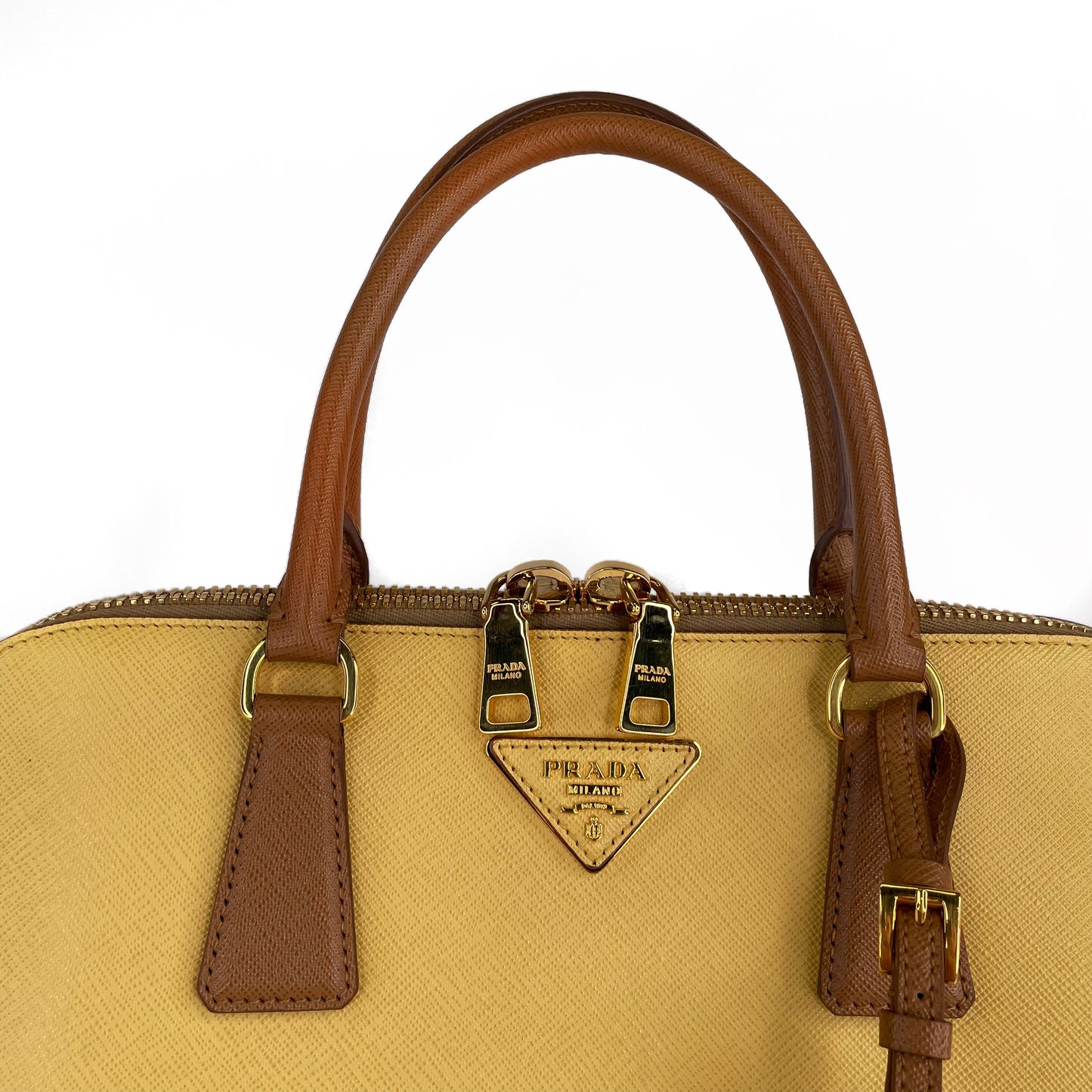 Prada Two-Tone Promenade Dome Bag