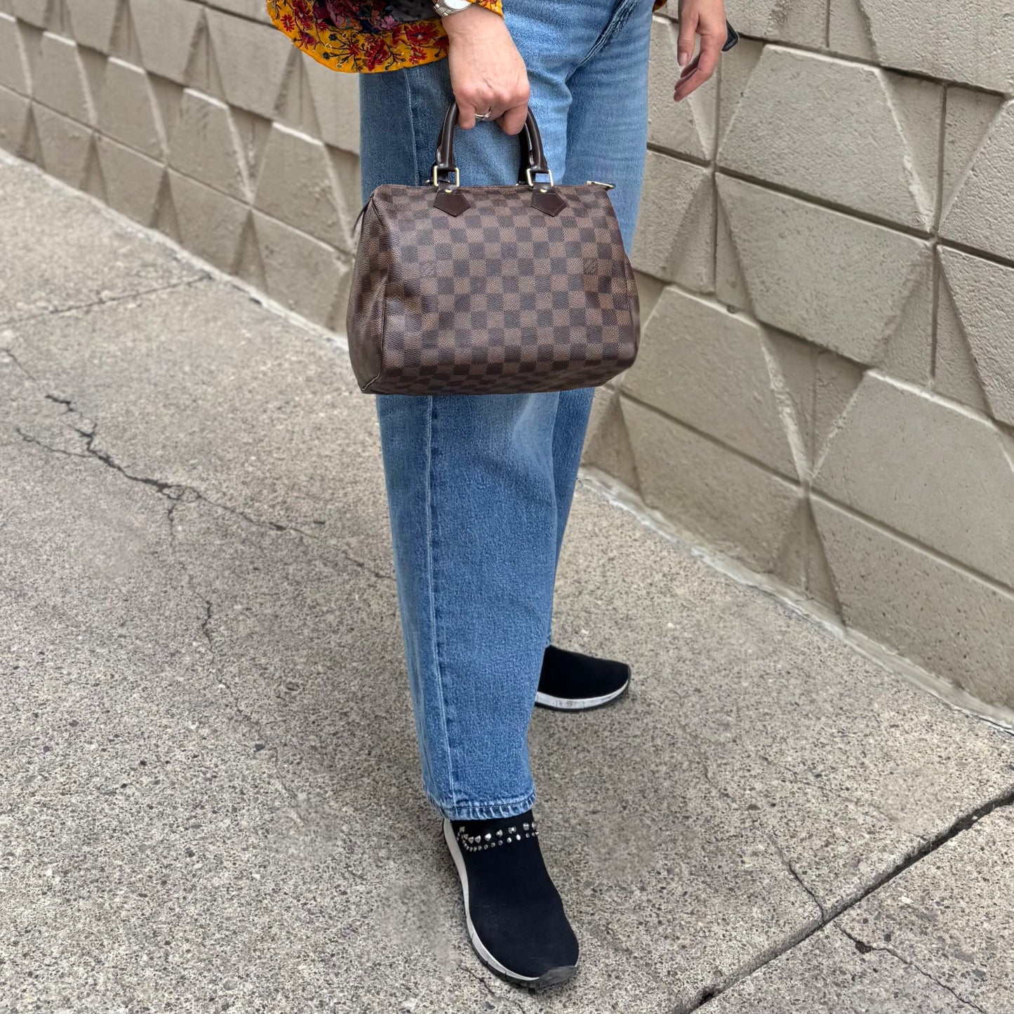 Louis Vuitton Speedy 25 Bag