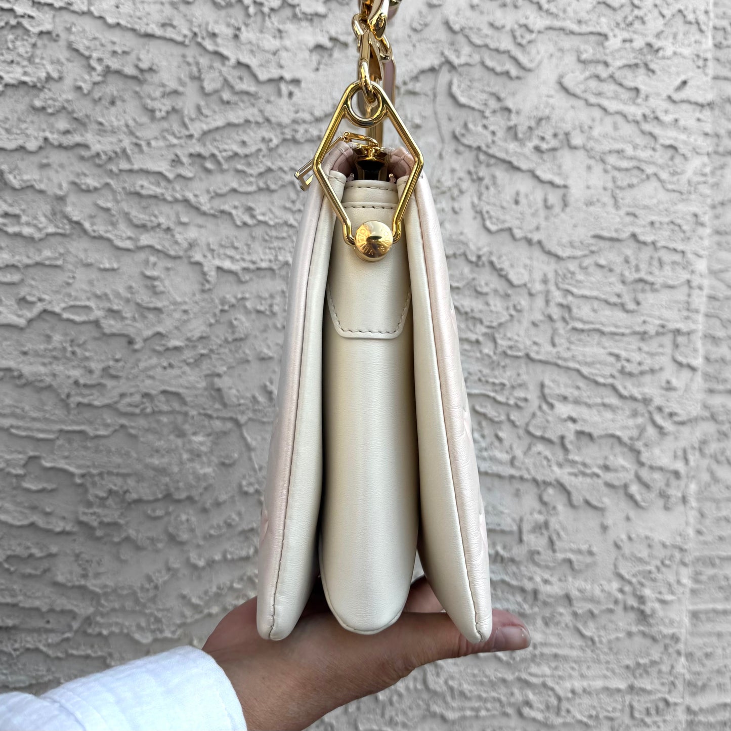 Louis Vuitton Coussin PM Bag