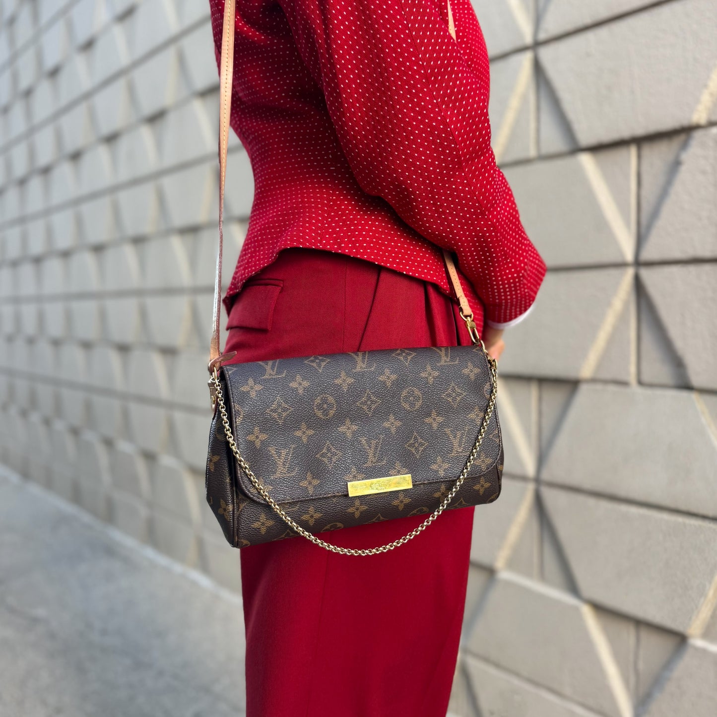 Louis Vuitton Favorite MM Bag