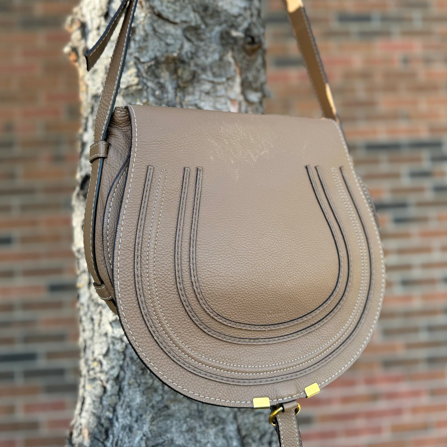 Chloe Marcie Medium Saddle Bag
