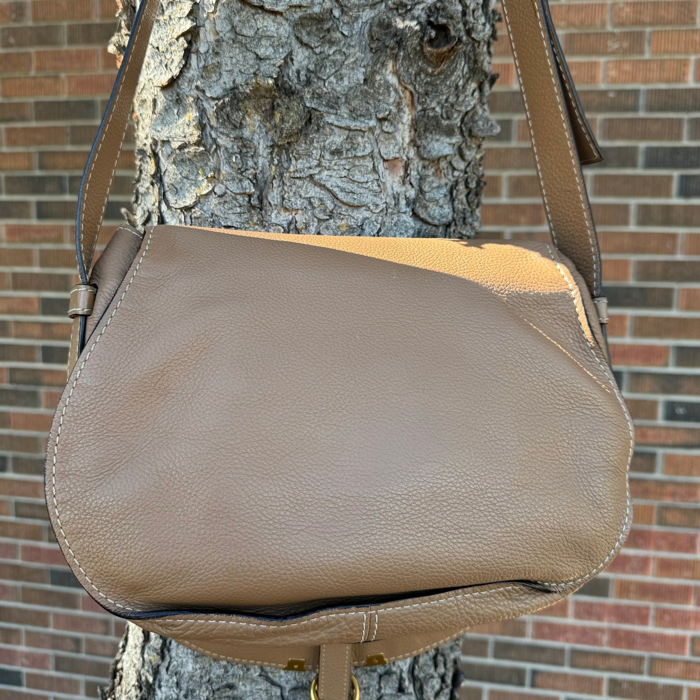 Chloe Marcie Medium Saddle Bag