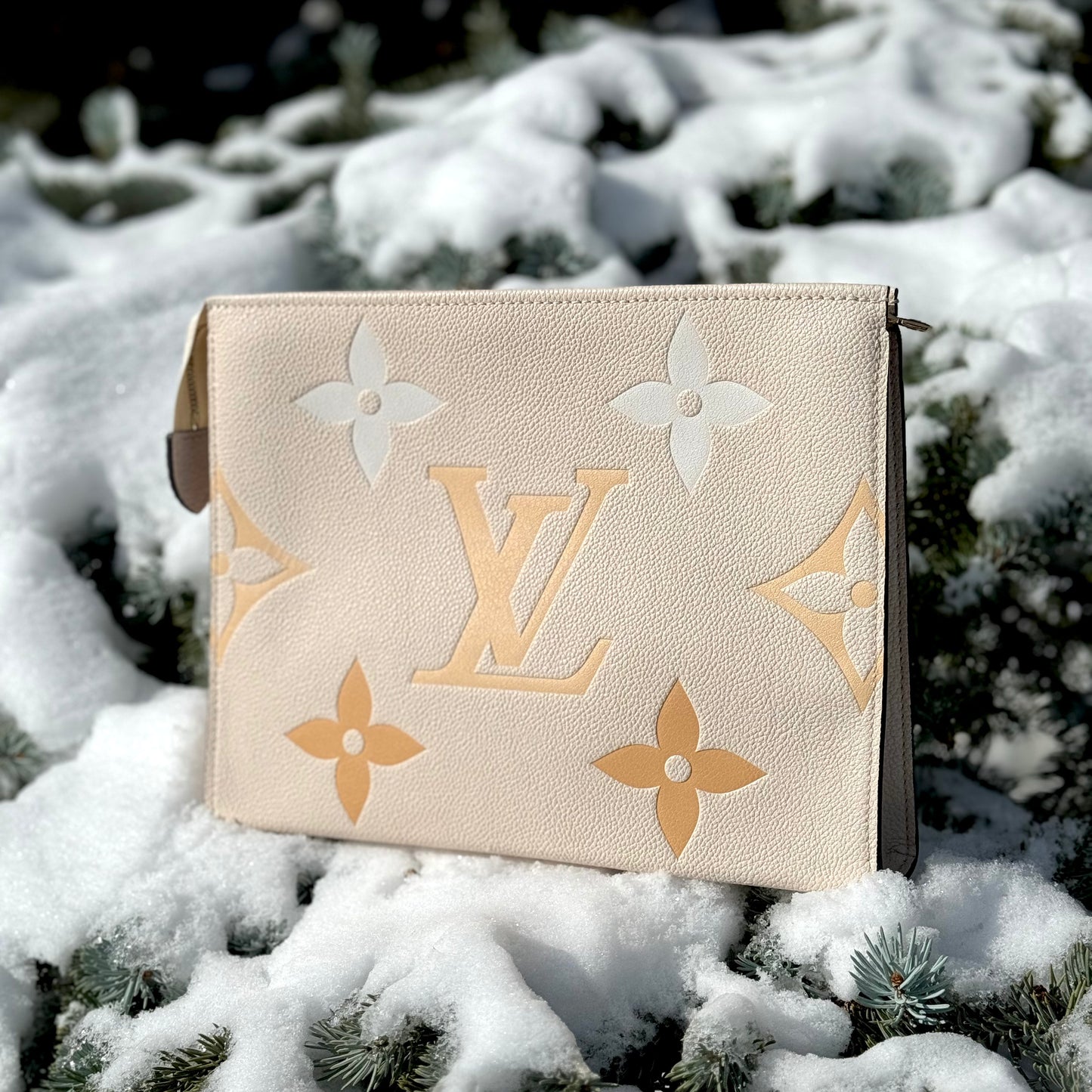 Louis Vuitton Toiletry Pouch 26