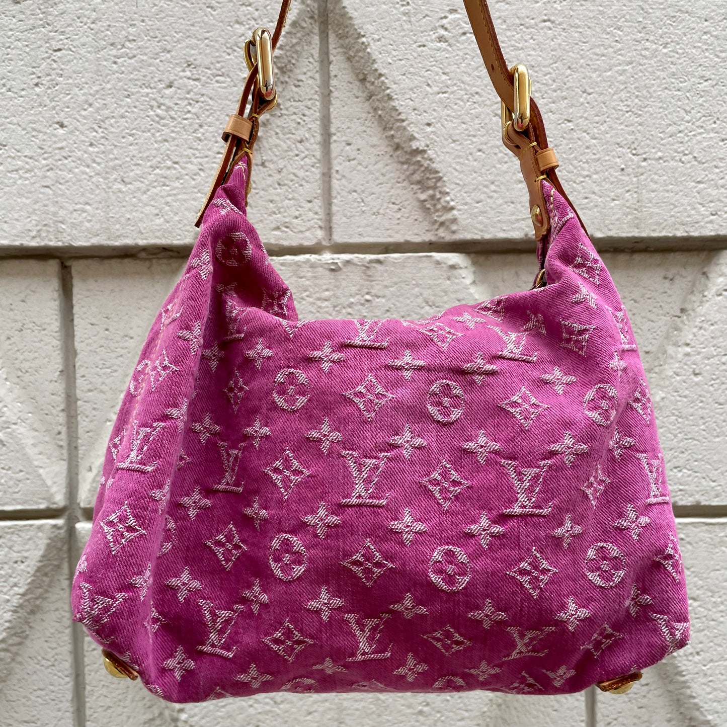 Louis Vuitton Baggy PM Bag