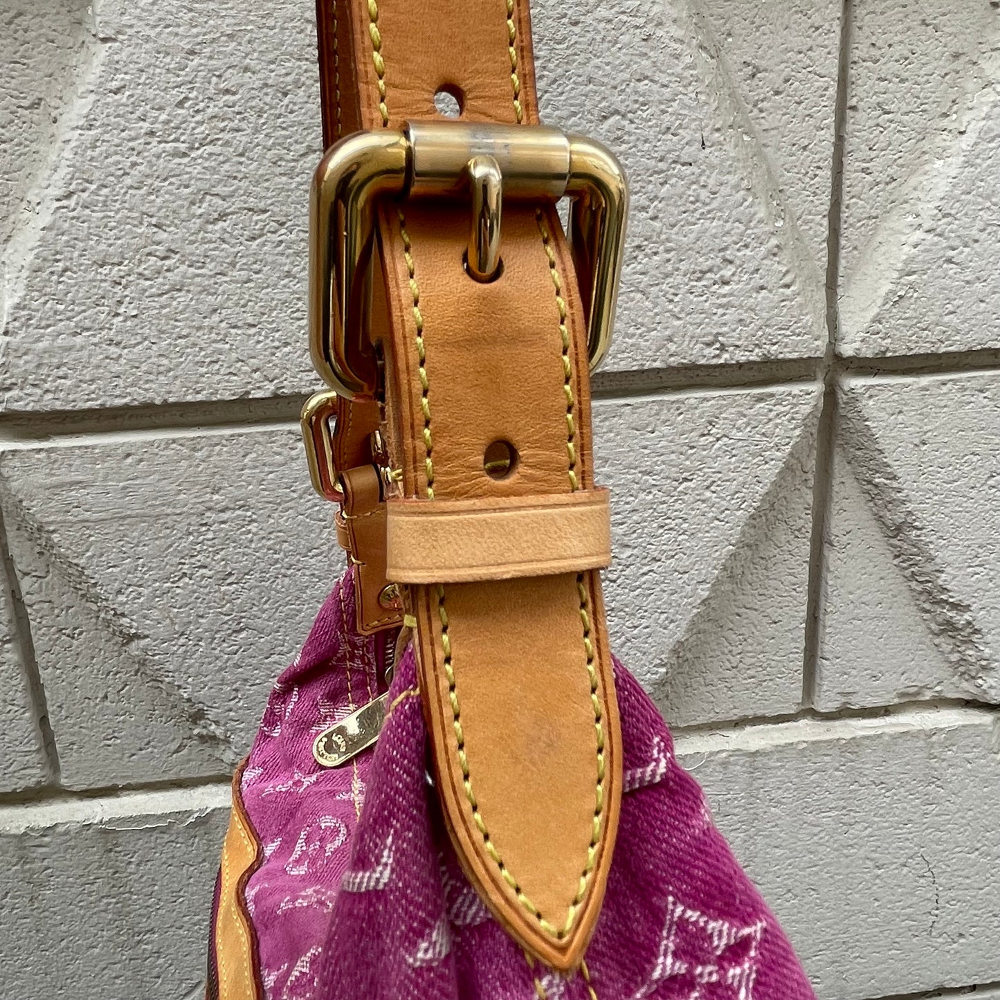 Louis Vuitton Baggy PM Bag