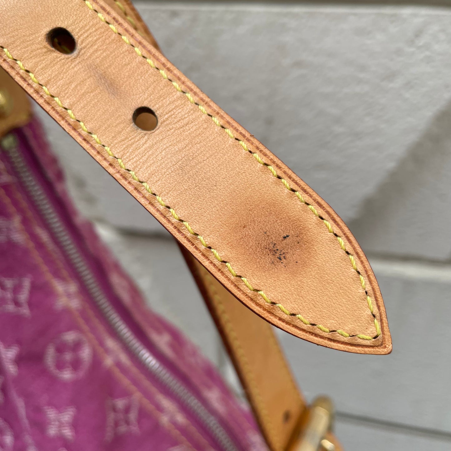 Louis Vuitton Baggy PM Bag