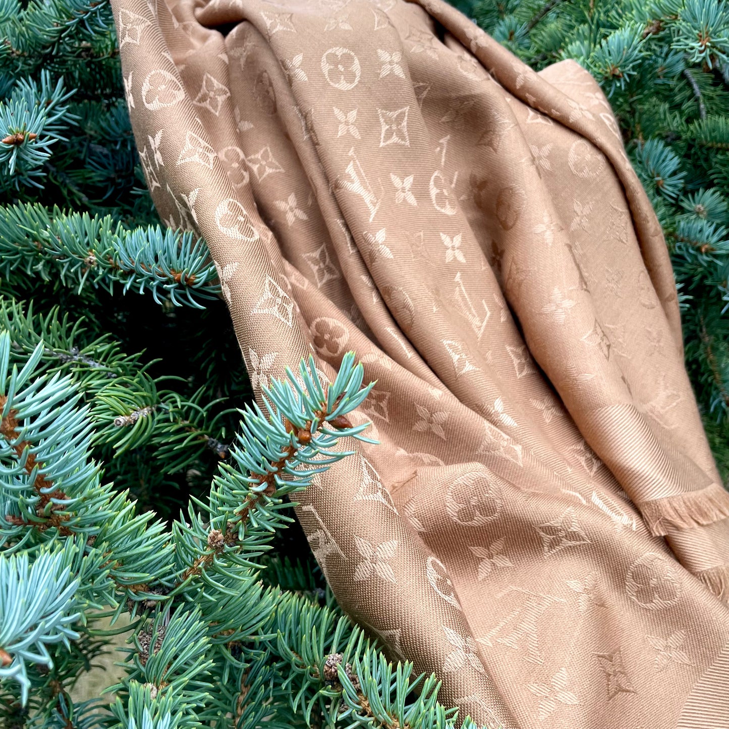 Louis Vuitton Today Shawl Scarf