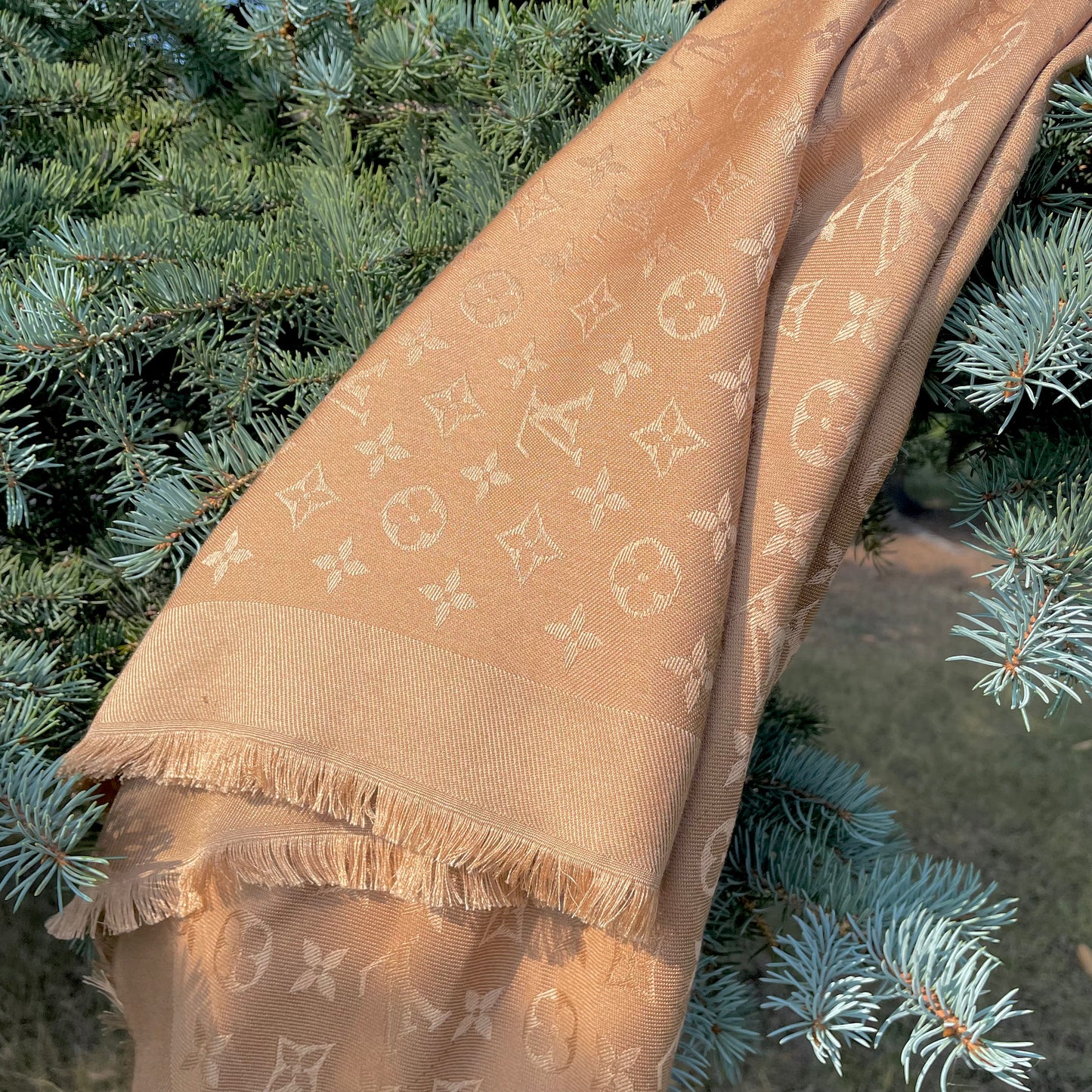 Louis Vuitton Today Shawl Scarf