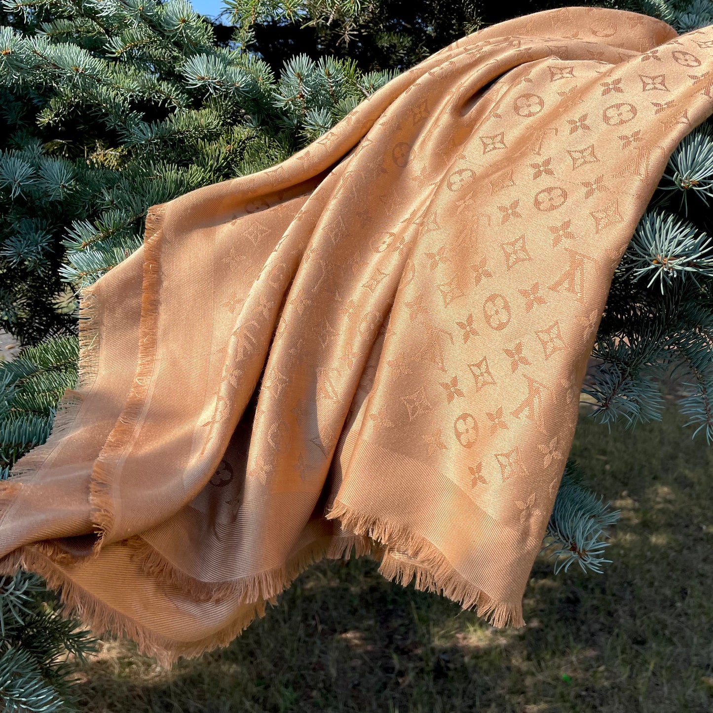 Louis Vuitton Today Shawl Scarf