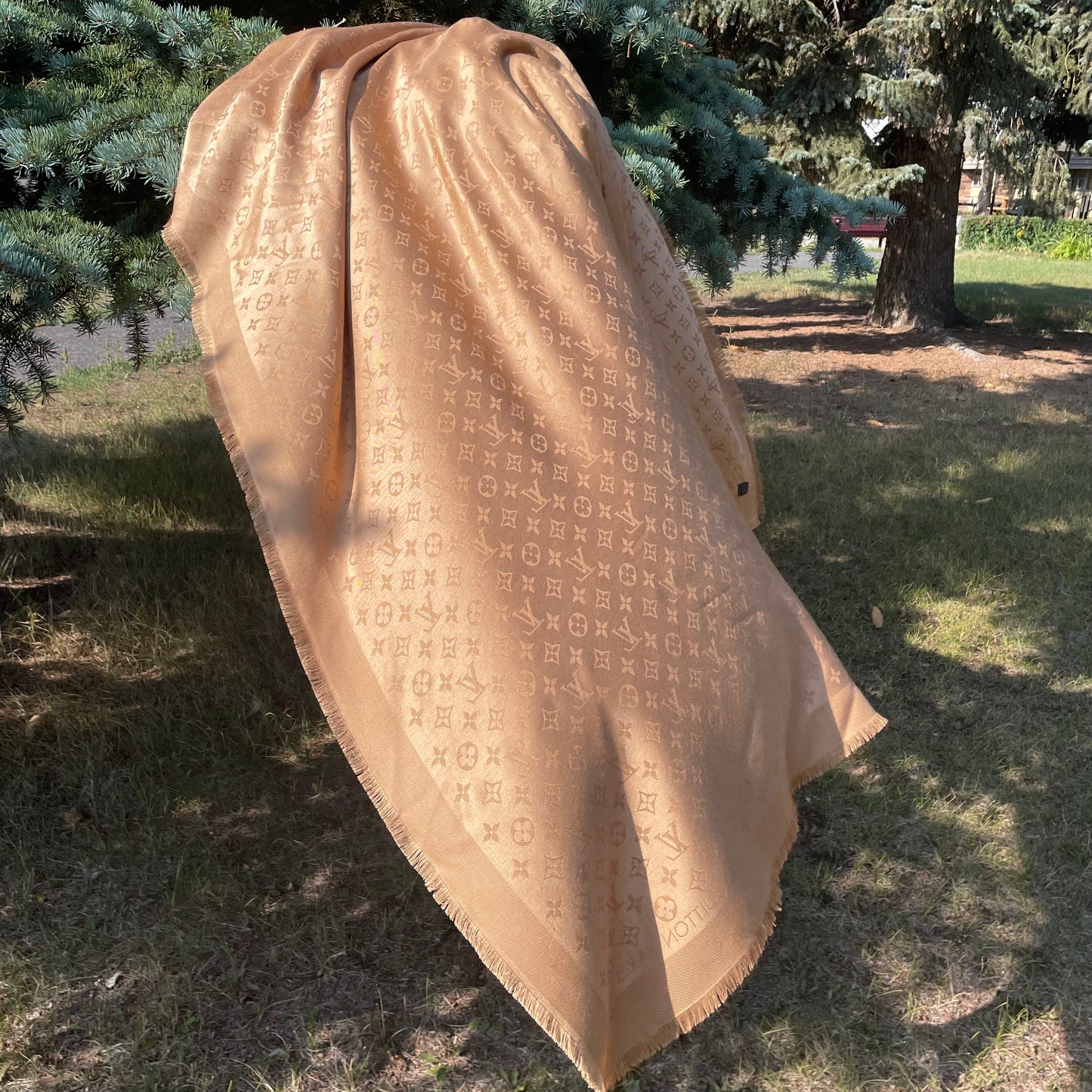 Louis Vuitton Today Shawl Scarf