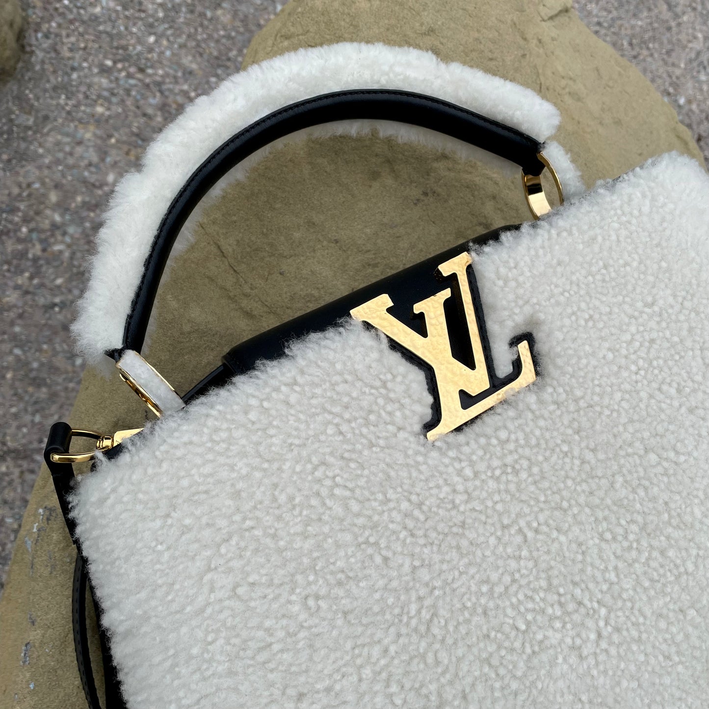Louis Vuitton Capucines PM Bag
