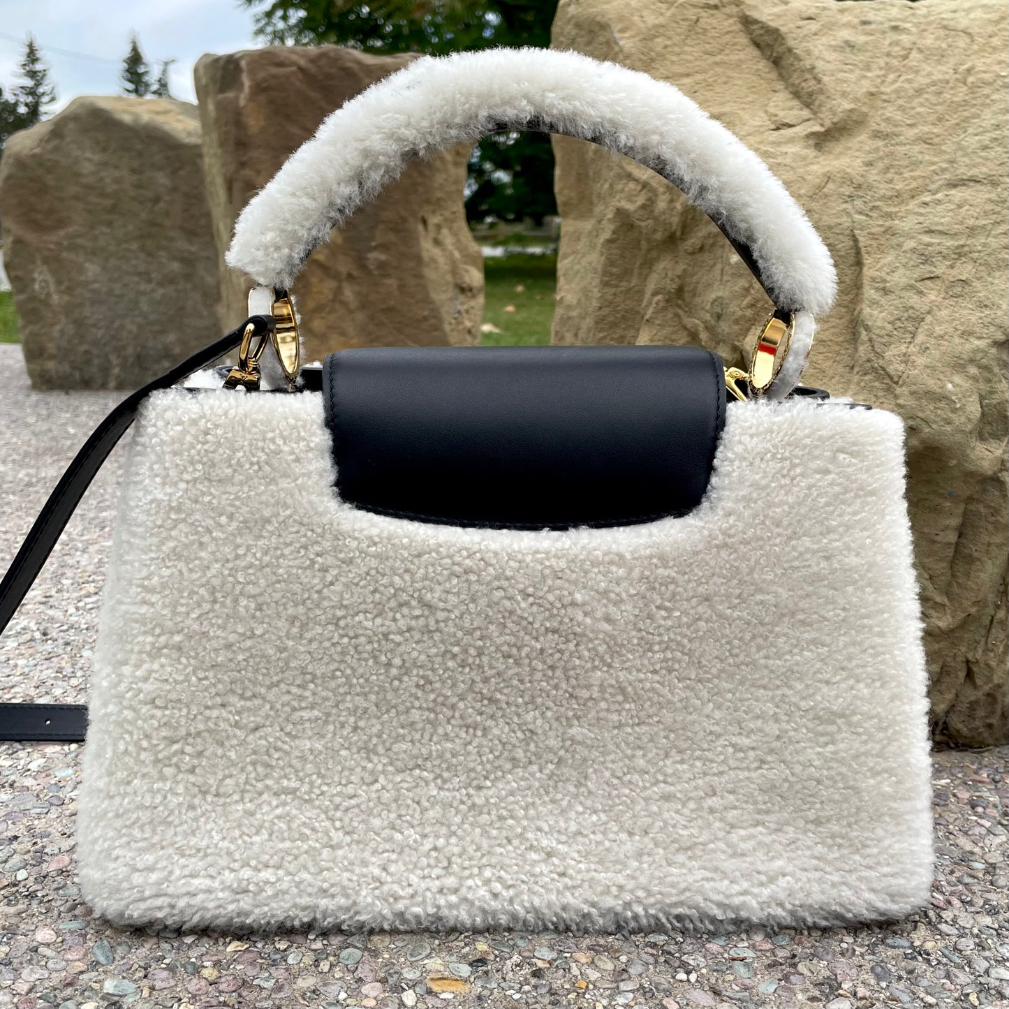 Louis Vuitton Capucines PM Bag