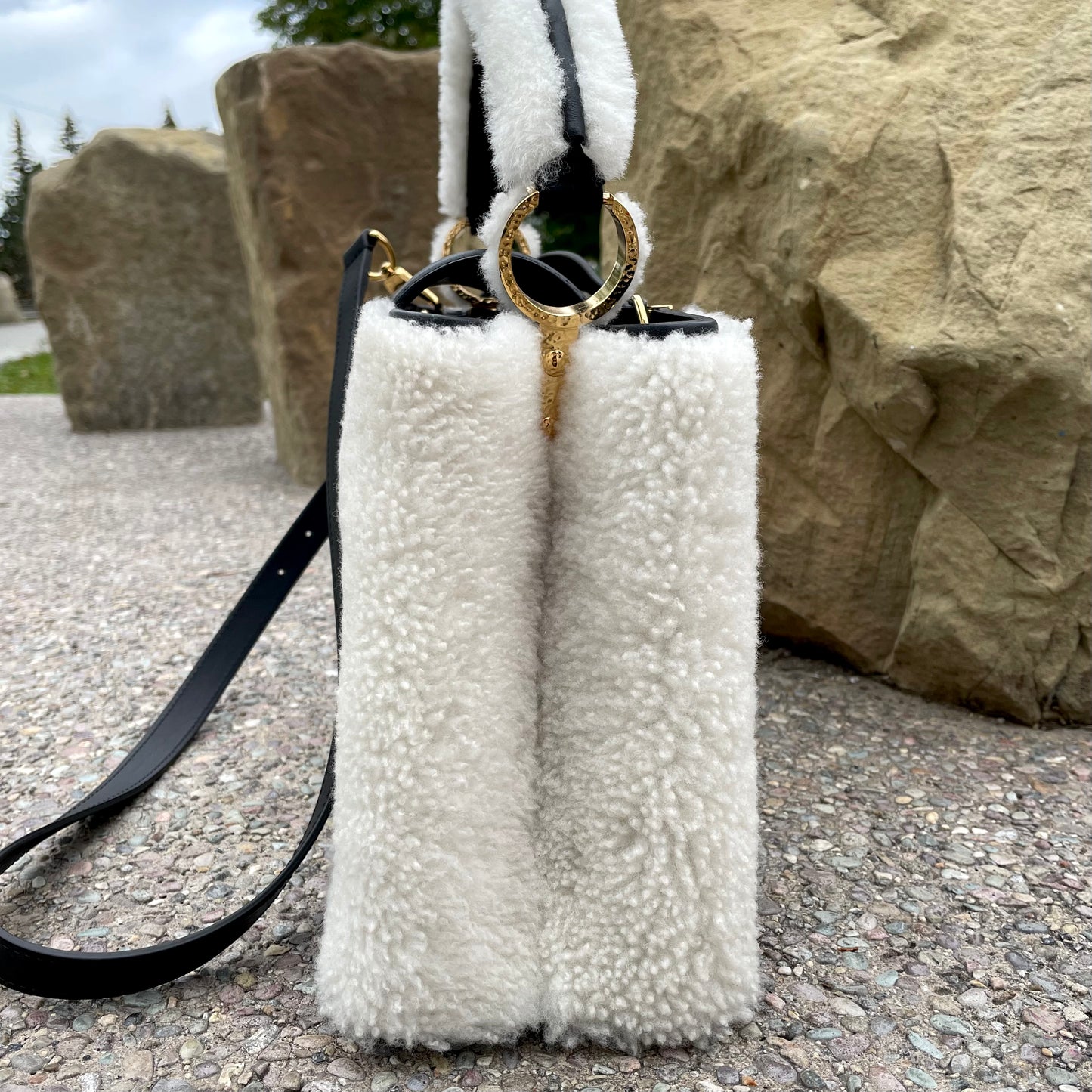 Louis Vuitton Capucines PM Bag
