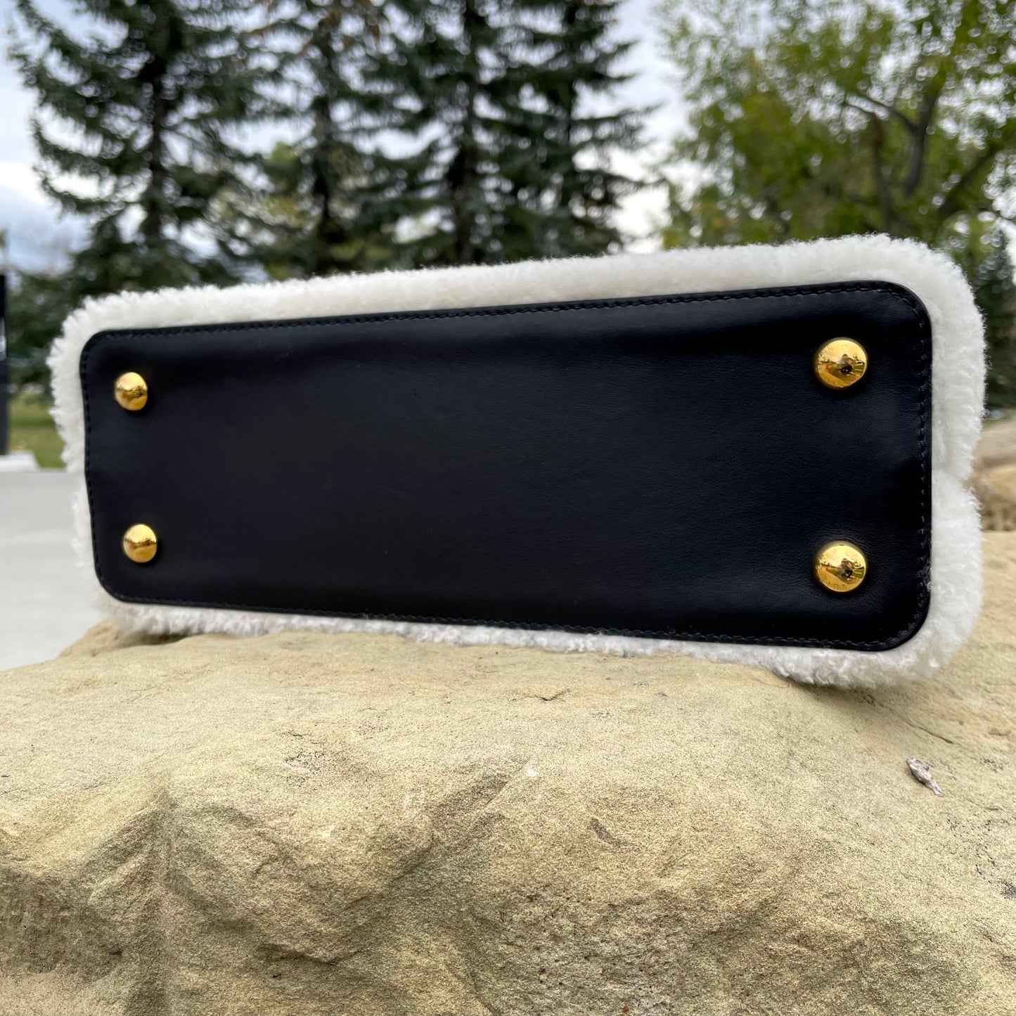 Louis Vuitton Capucines PM Bag