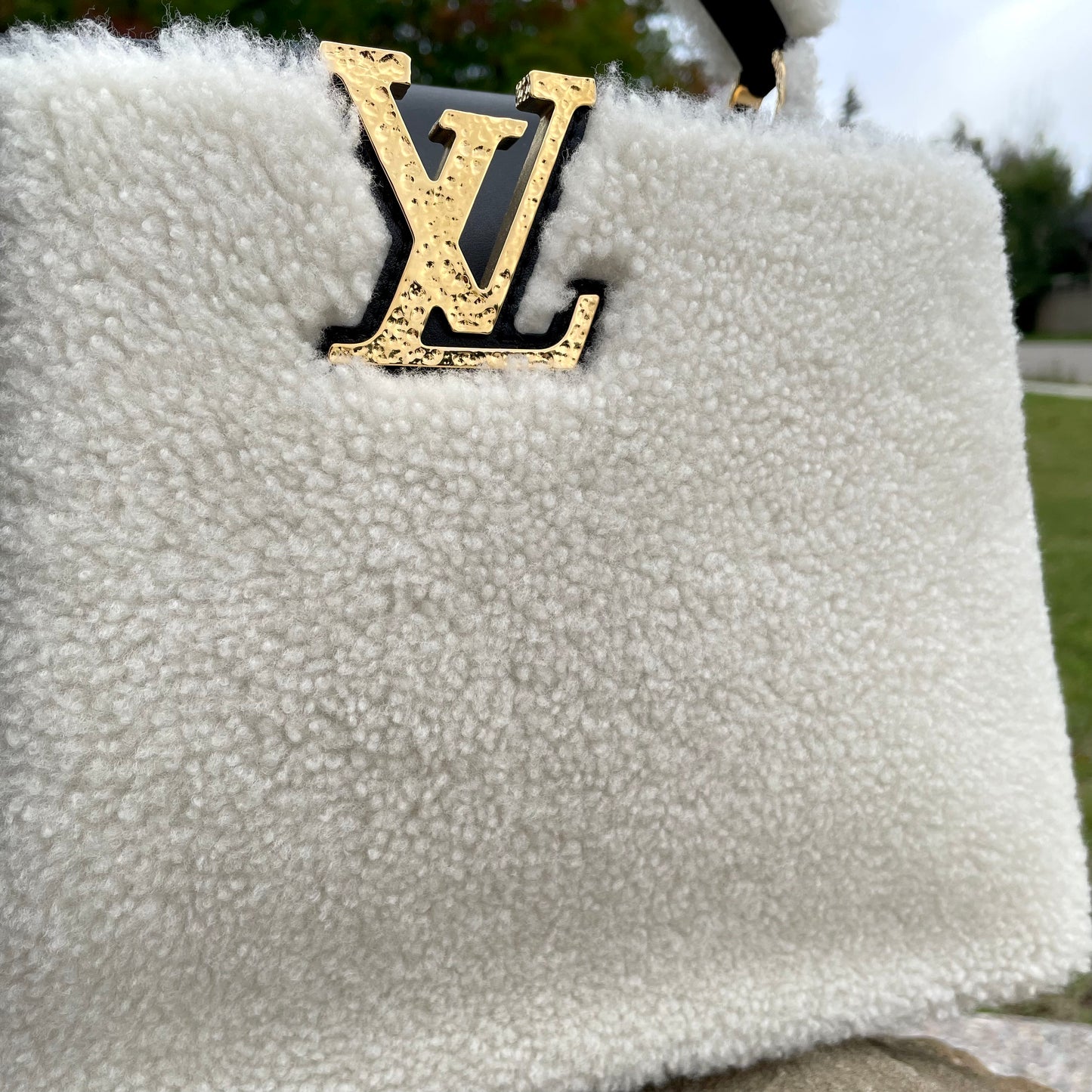 Louis Vuitton Capucines PM Bag