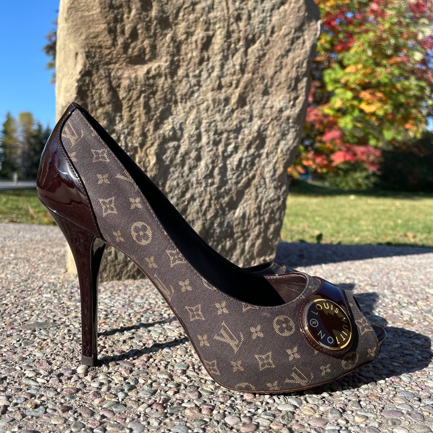 Louis Vuitton Idylle Judy Pump