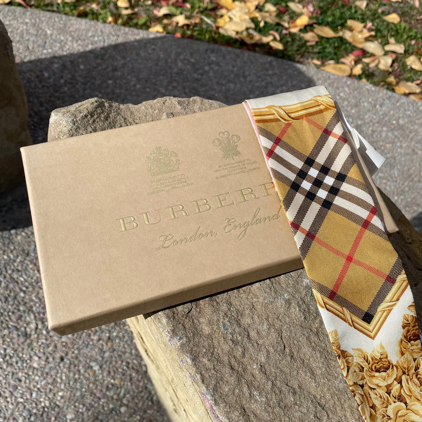 Burberry Multicolor Checked Silk Skinny Scarf