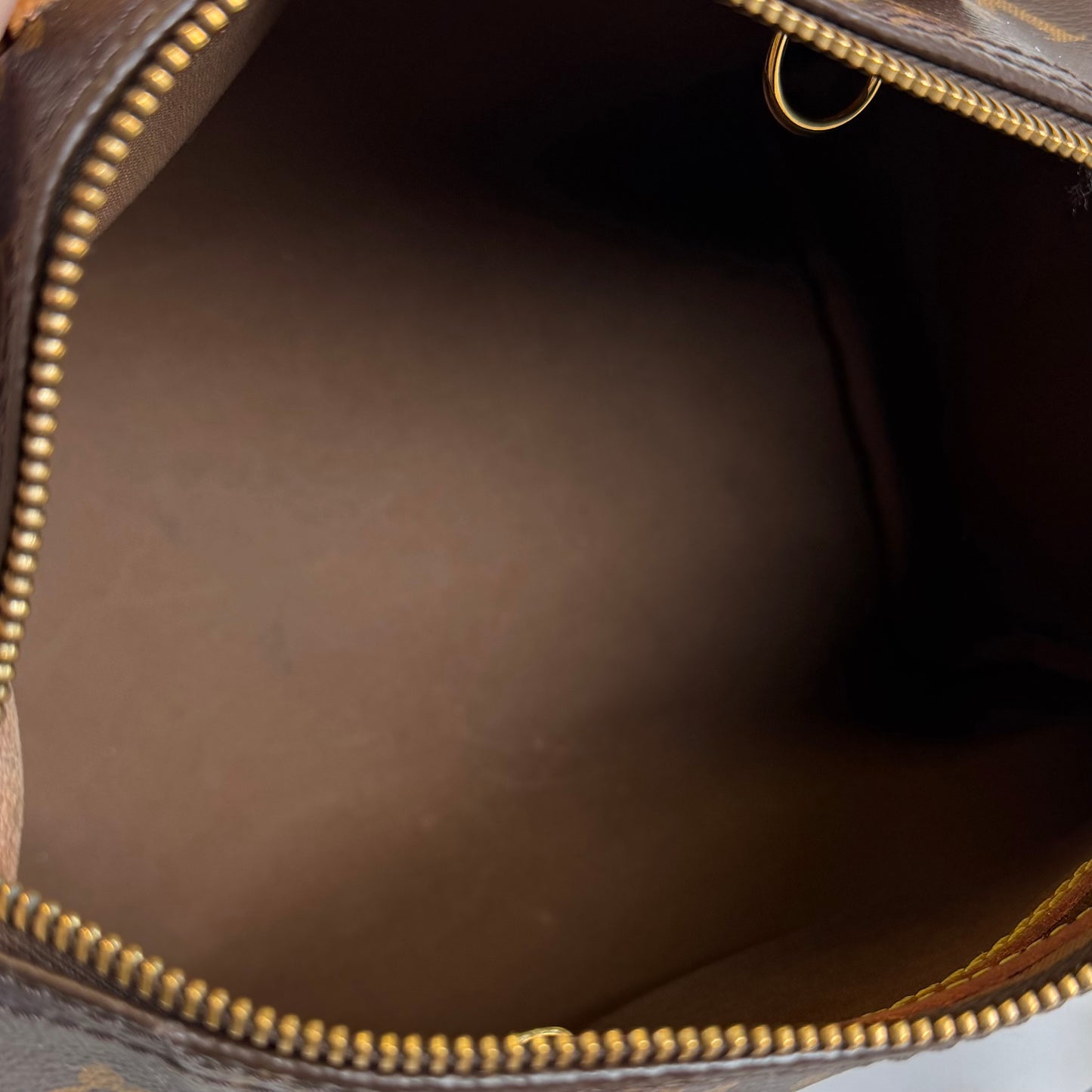 Louis Vuitton Speedy 25 Bag