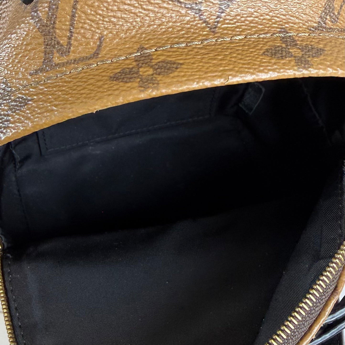 Louis Vuitton Palm Springs Mini Backpack