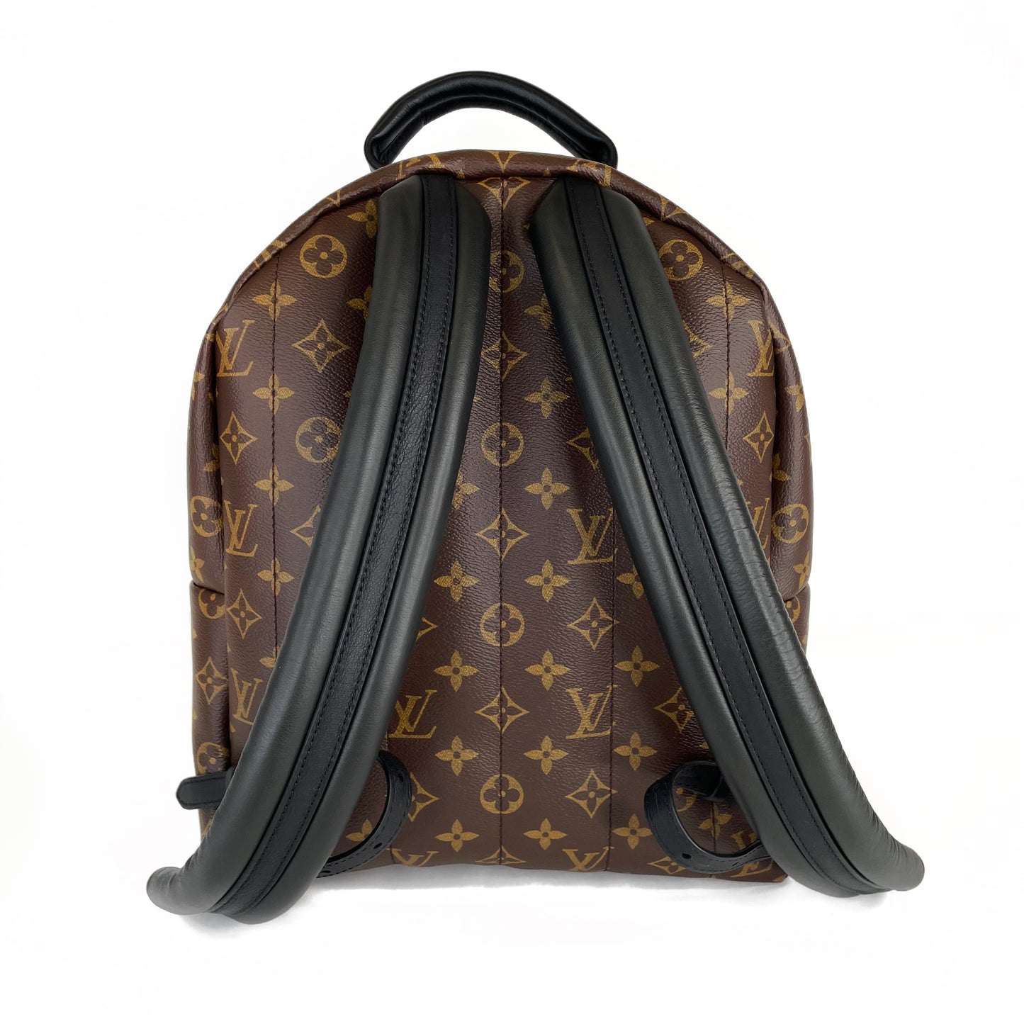 Louis Vuitton Palm Spring MM Backpack