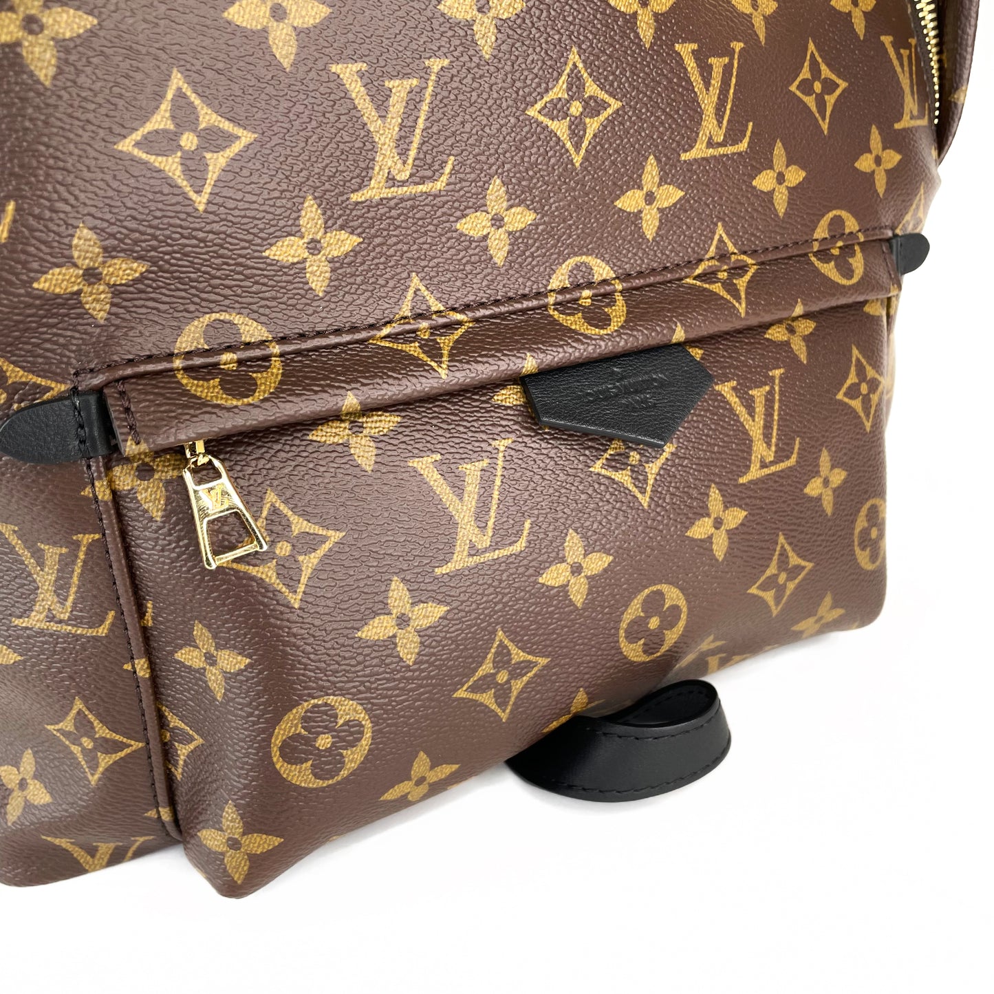 Louis Vuitton Palm Spring MM Backpack