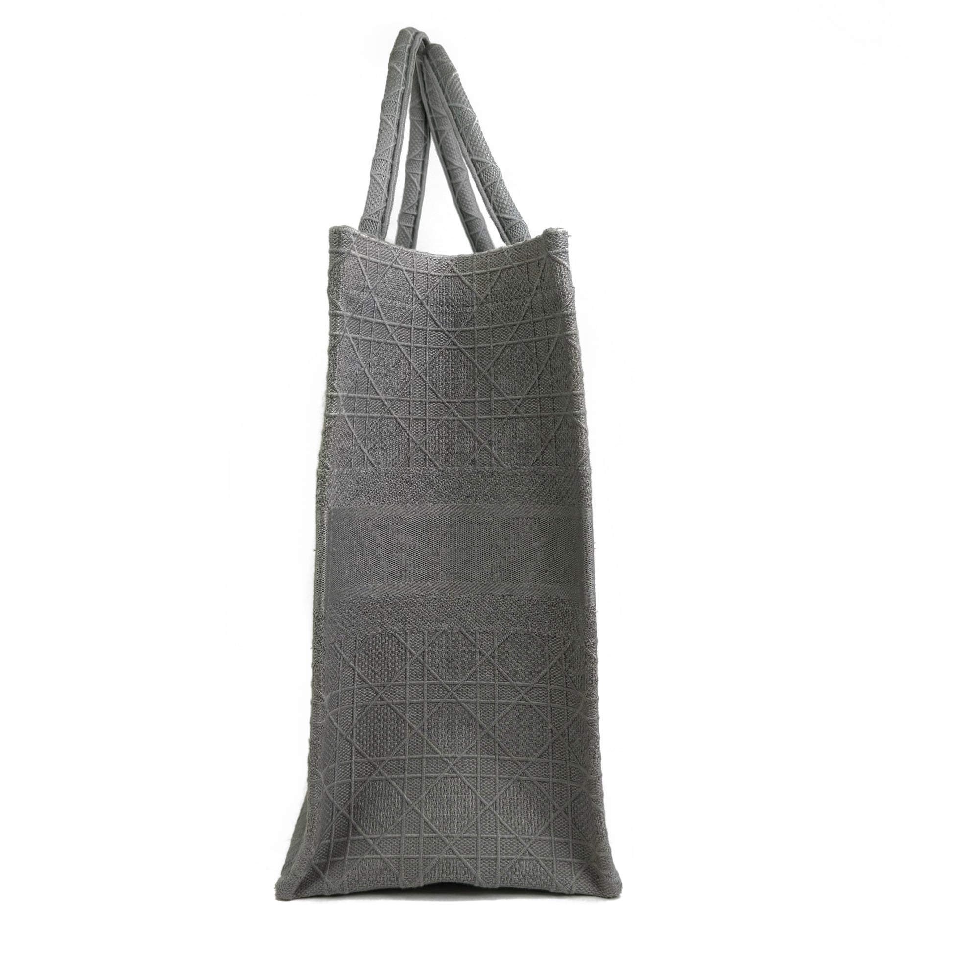 Dior big 2025 tote bag