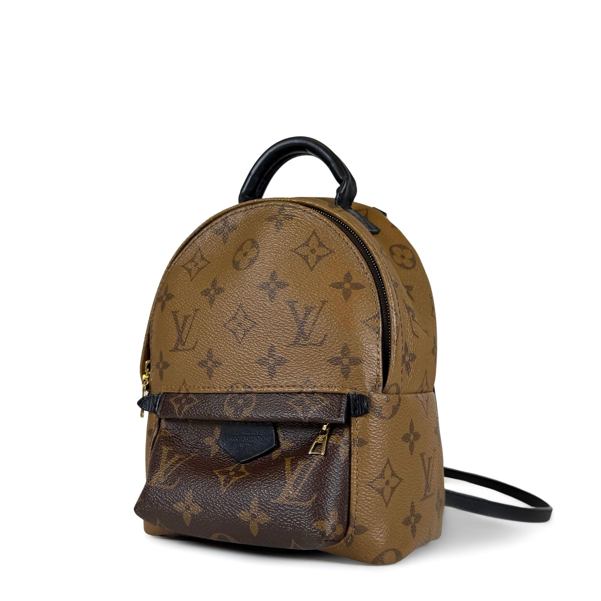 Louis Vuitton Palm Springs Mini Backpack