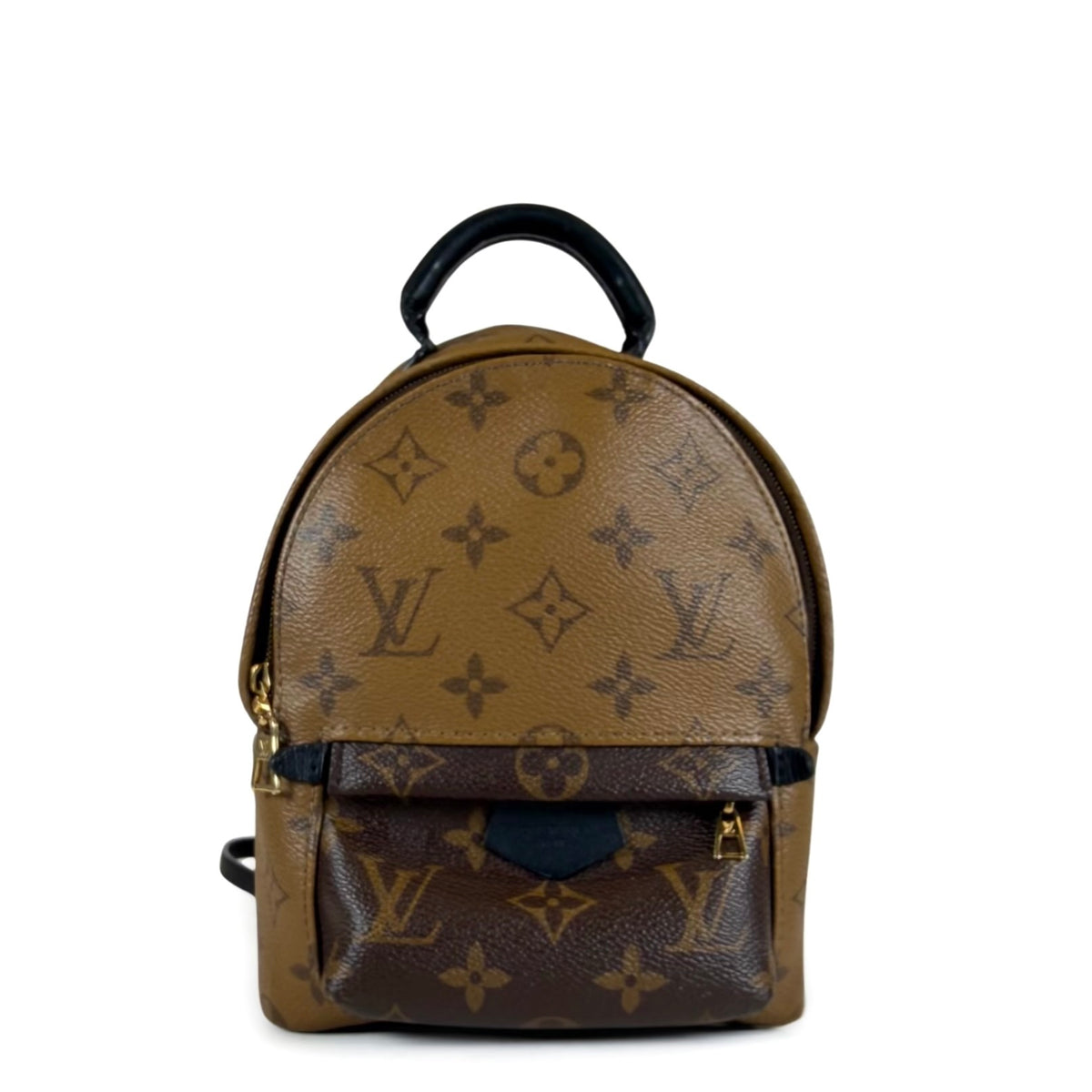 Louis Vuitton Palm Springs Mini Backpack