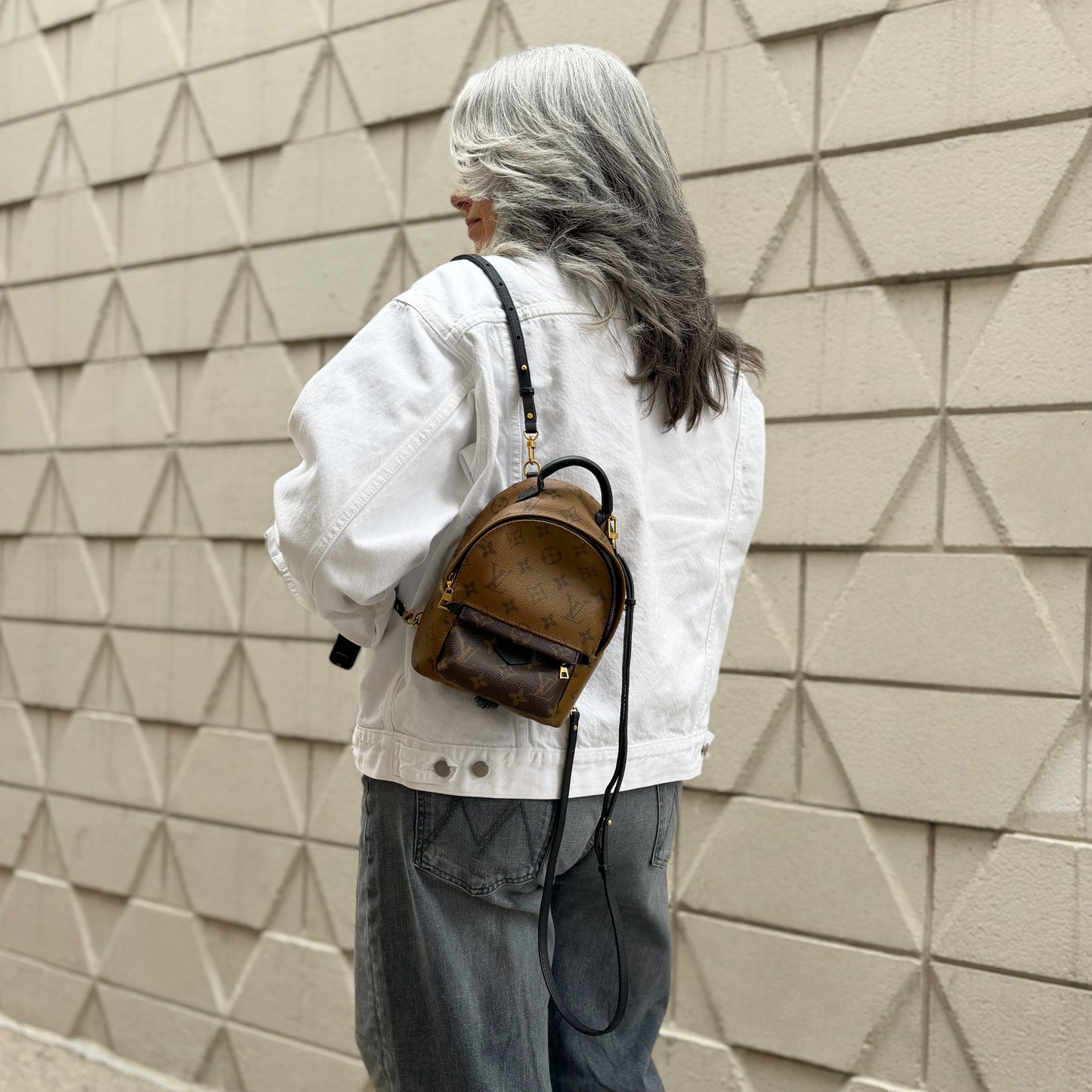 Louis Vuitton Palm Springs Mini Backpack