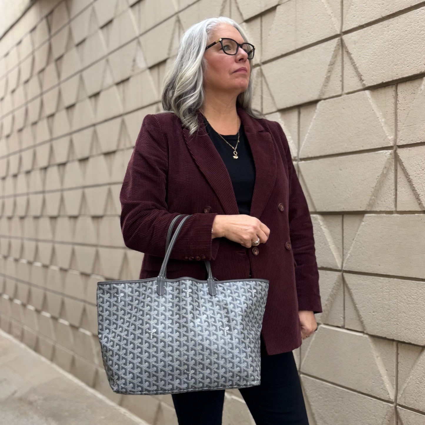 Goyard Saint Louis Grey Goyardine PM Tote