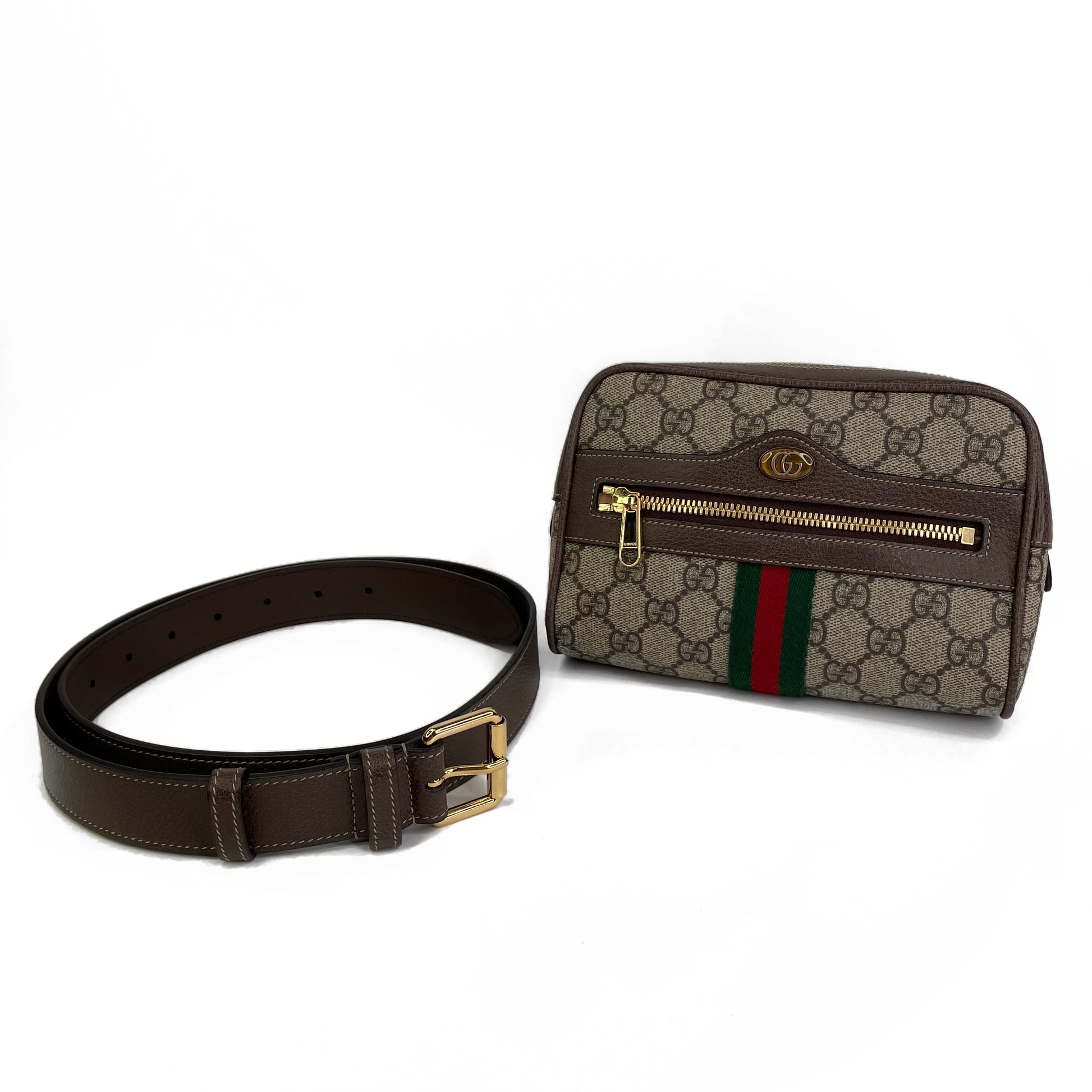 Gucci Ophidia Belt Bag – The Consignment Bar