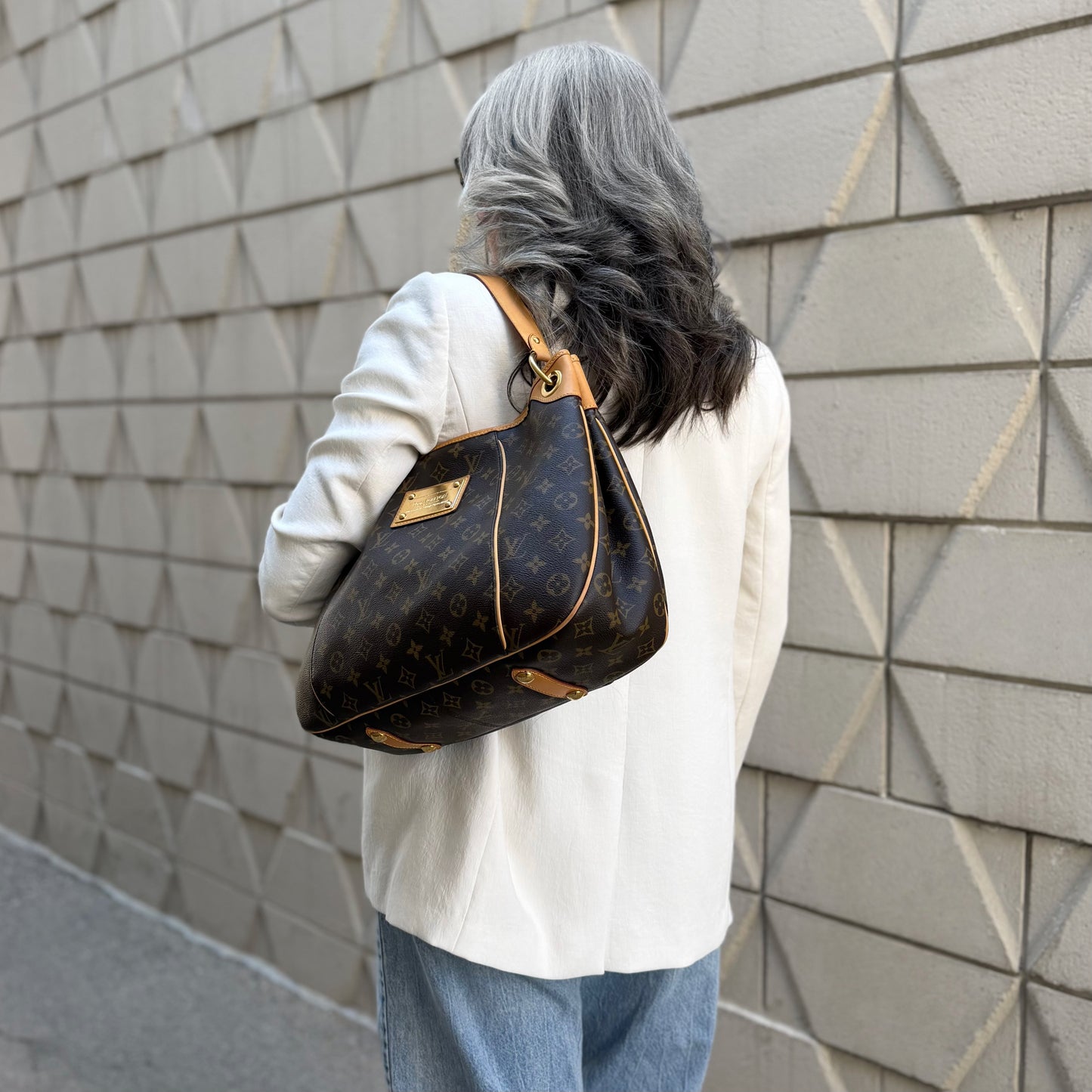 Louis Vuitton Galleria PM Bag