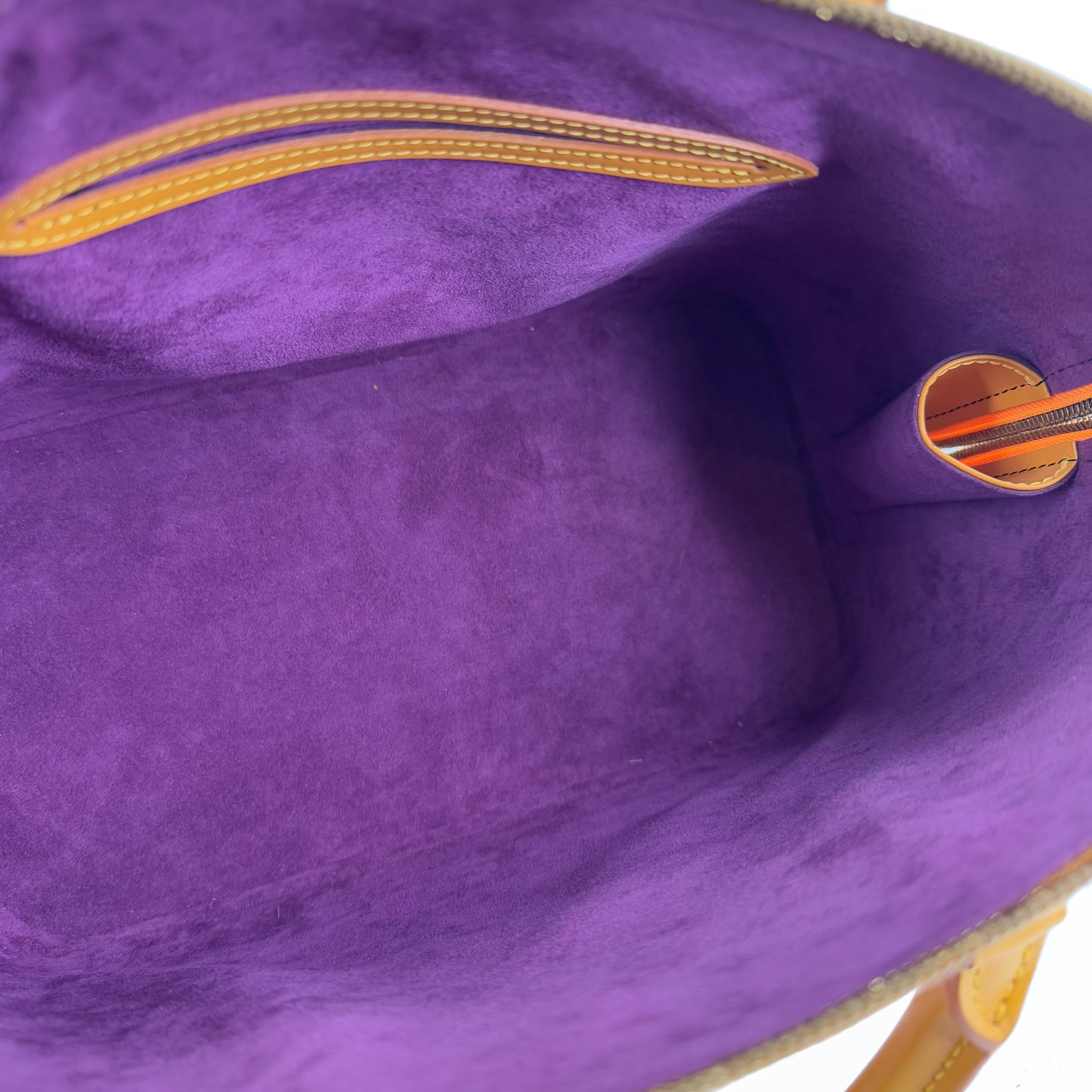 Louis Vuitton Alma Canary PM Bag