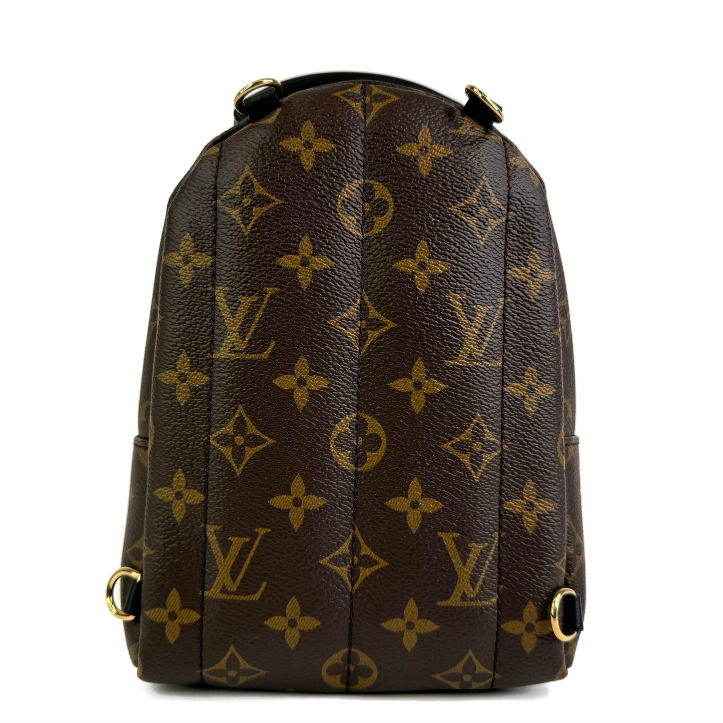 Louis Vuitton Palm Springs Mini Backpack