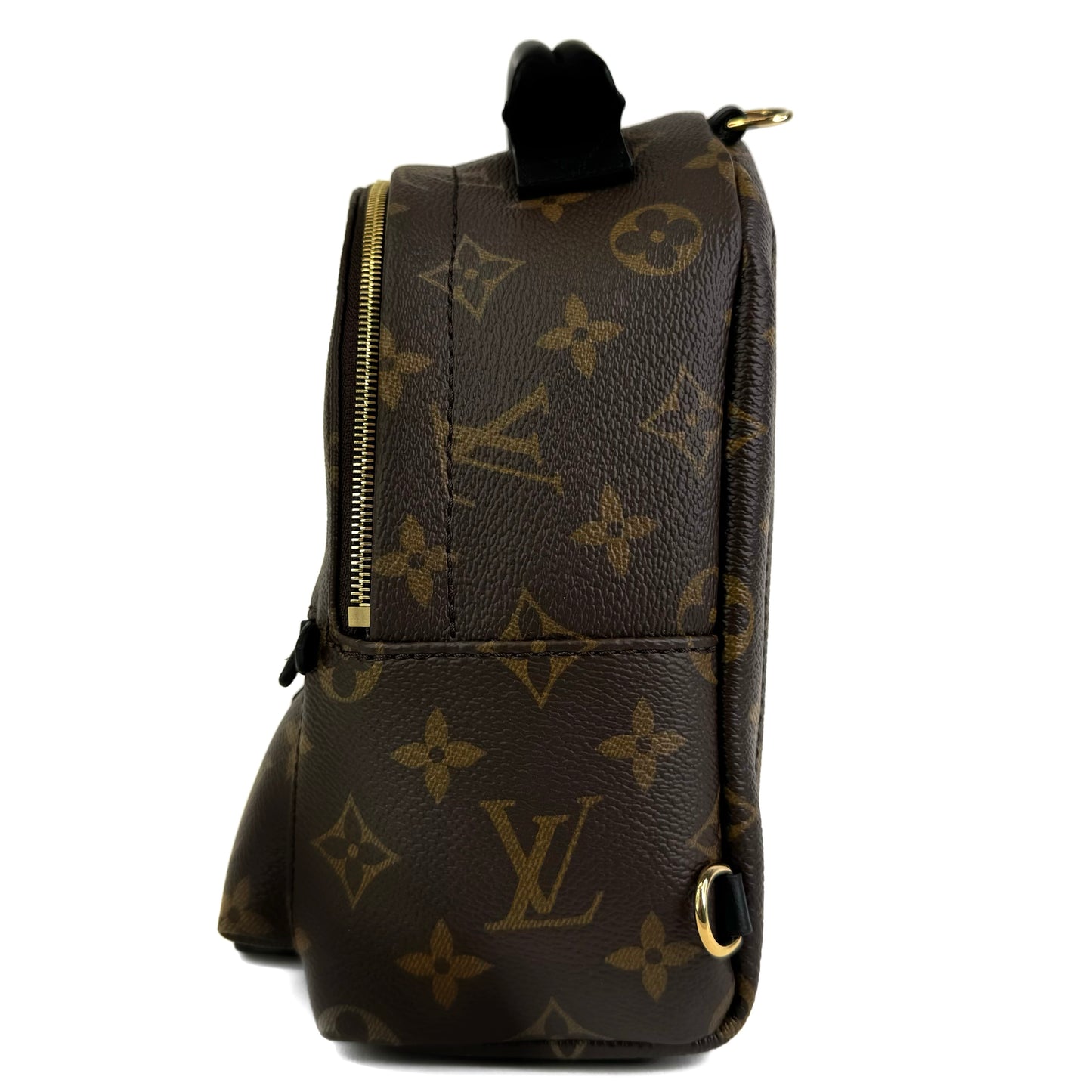 Louis Vuitton Palm Springs Mini Backpack