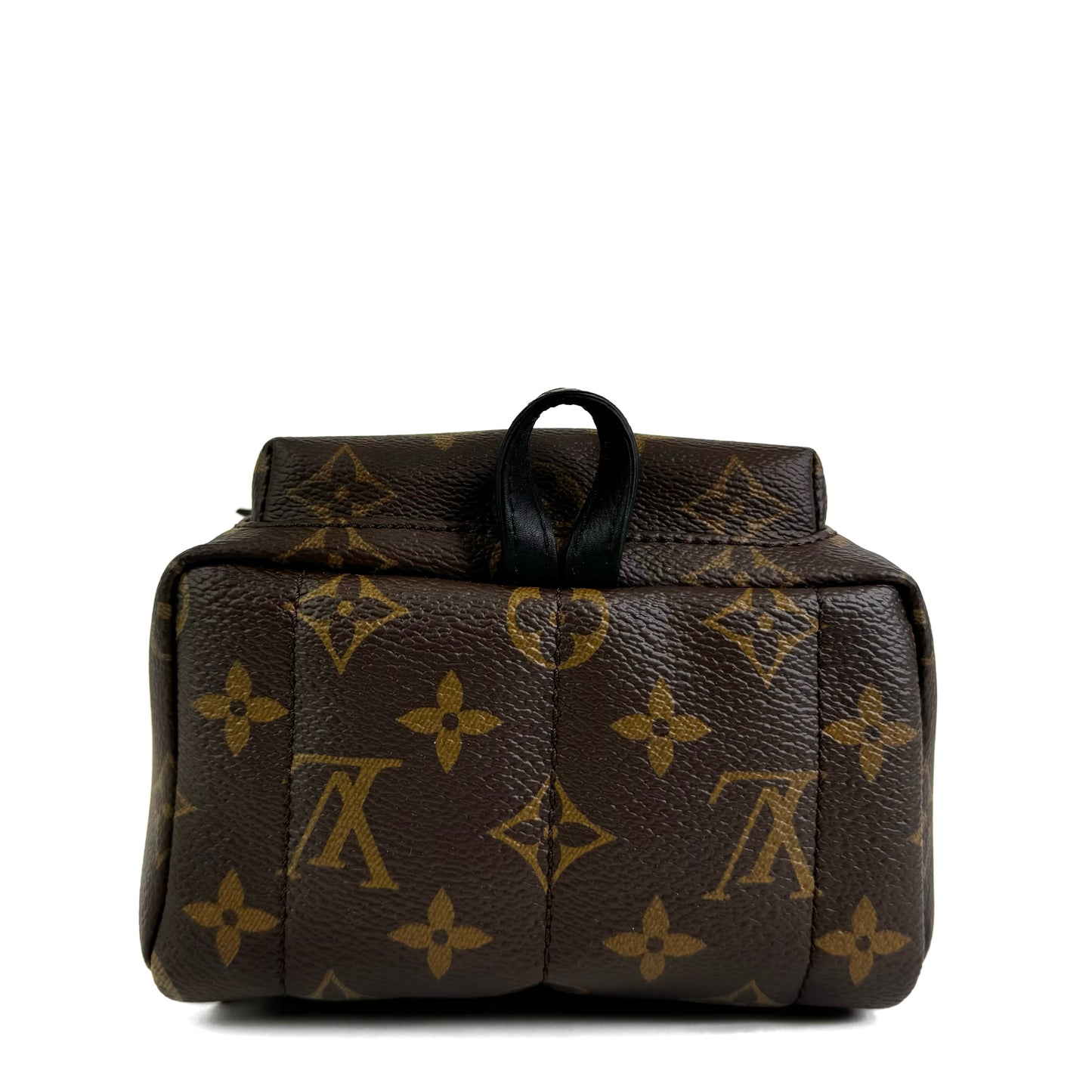 Louis Vuitton Palm Springs Mini Backpack