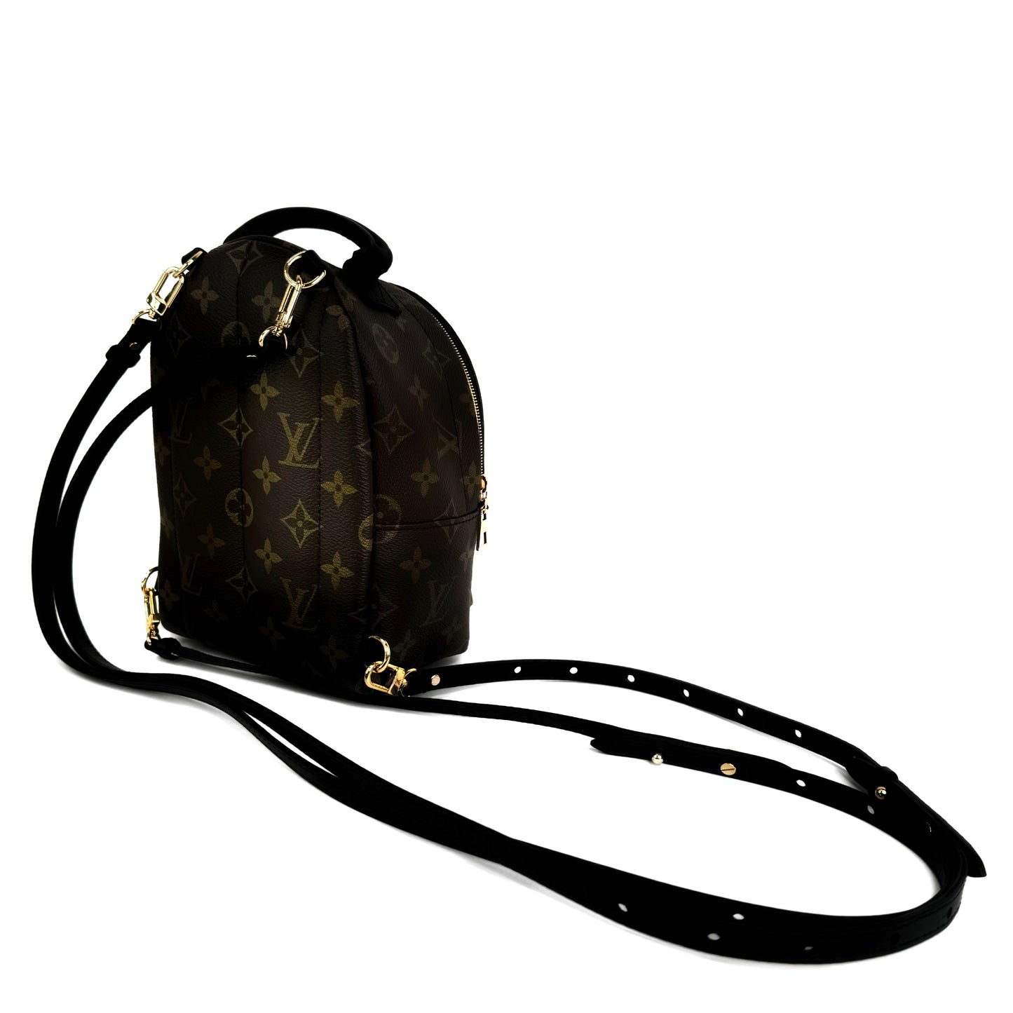 Louis Vuitton Palm Springs Mini Backpack