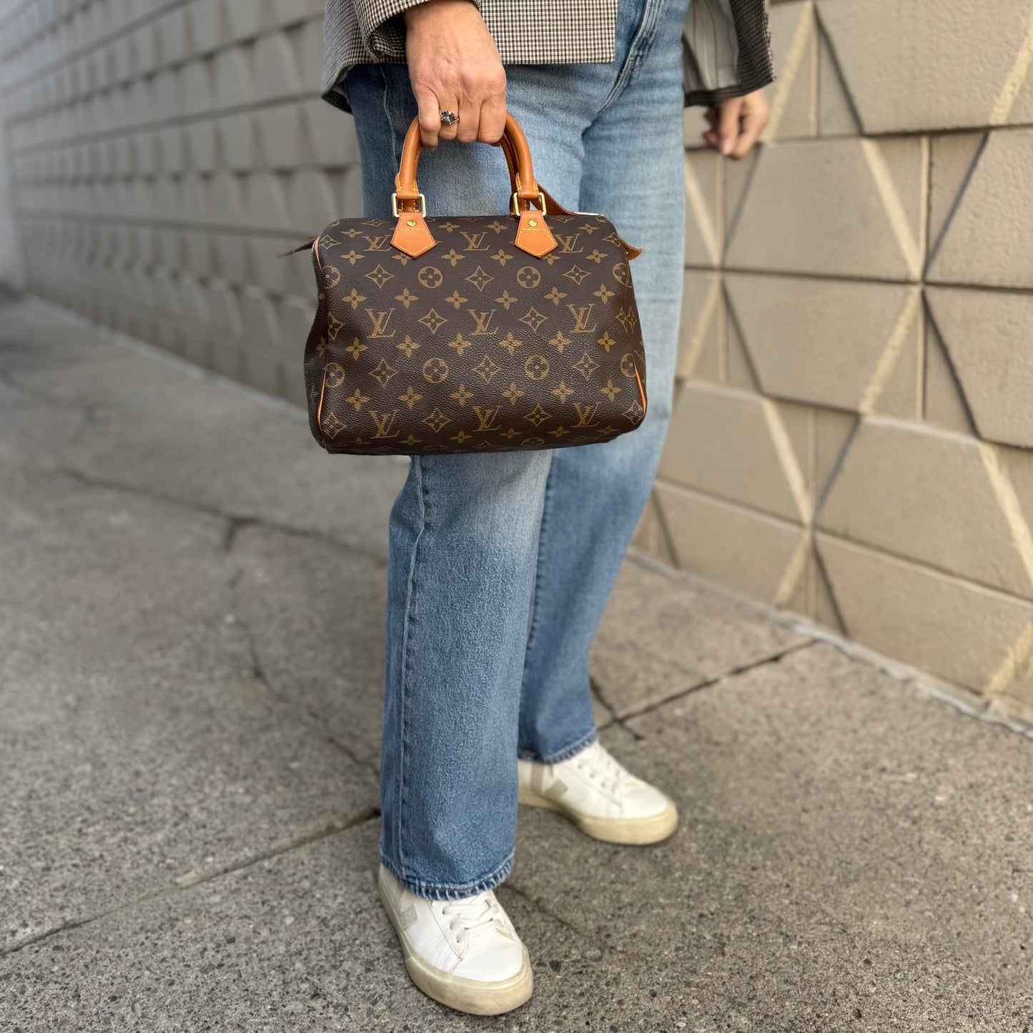 Louis Vuitton Speedy 25 Bag