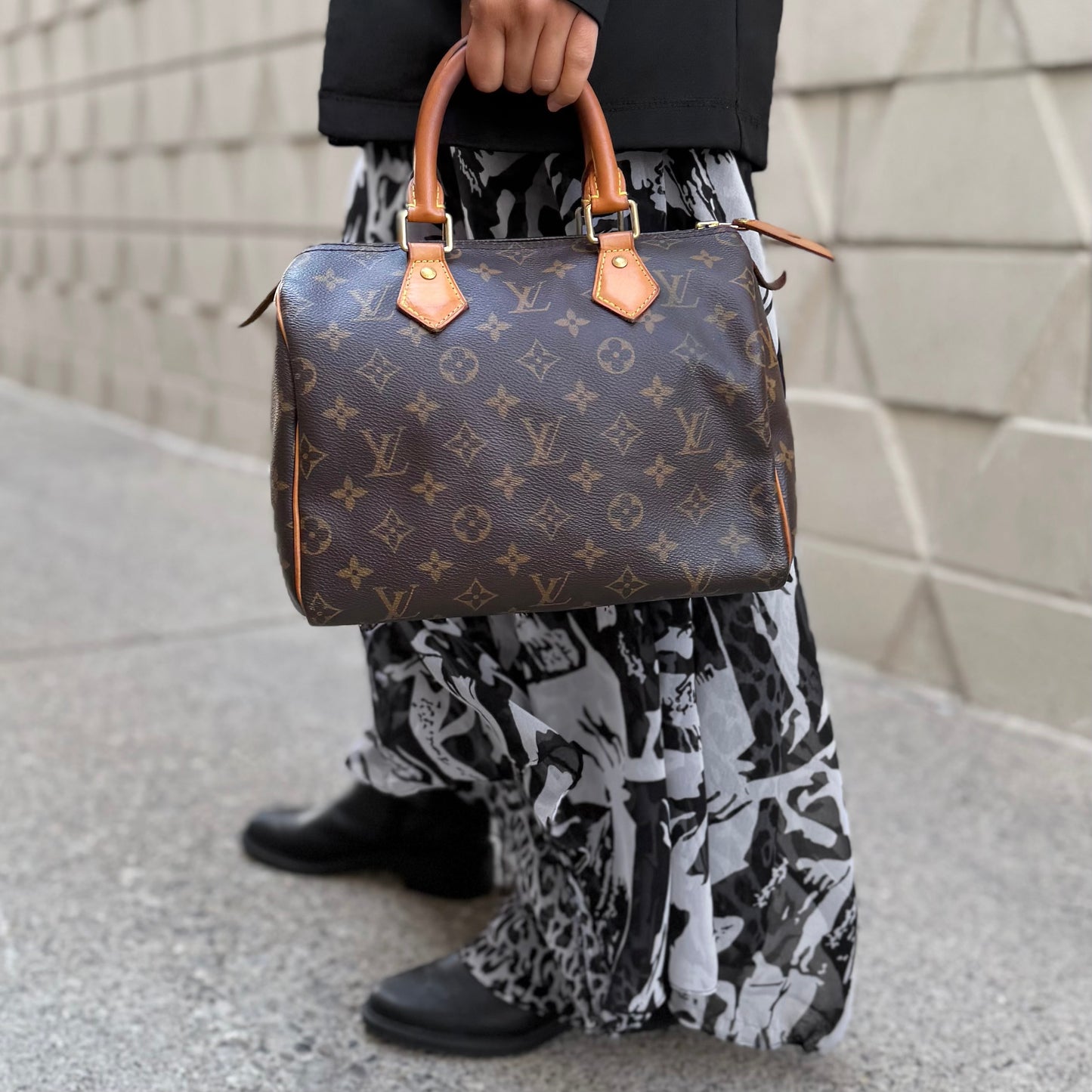 Louis Vuitton Speedy 25 Bag