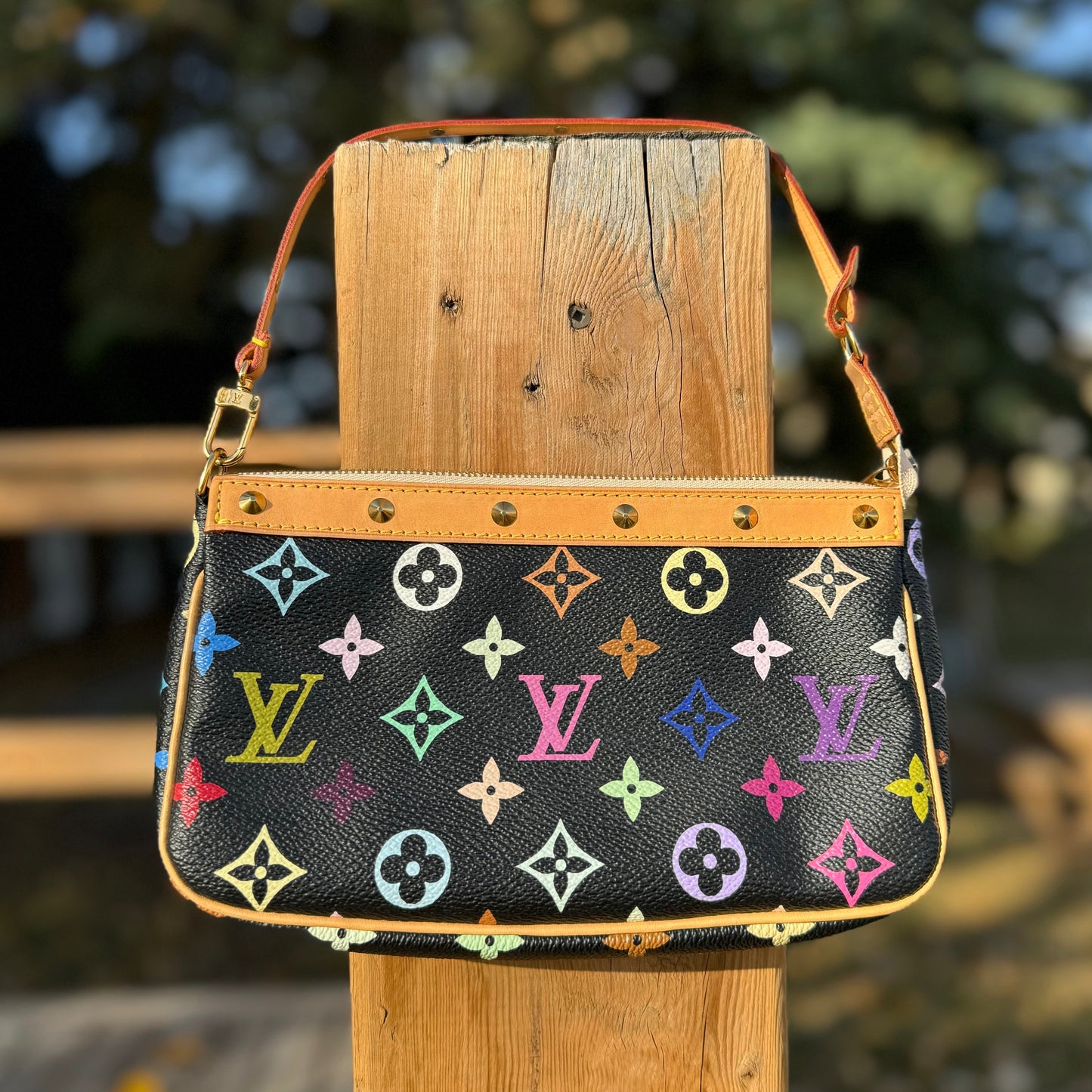 Louis Vuitton Multicolor Monogram Pochette