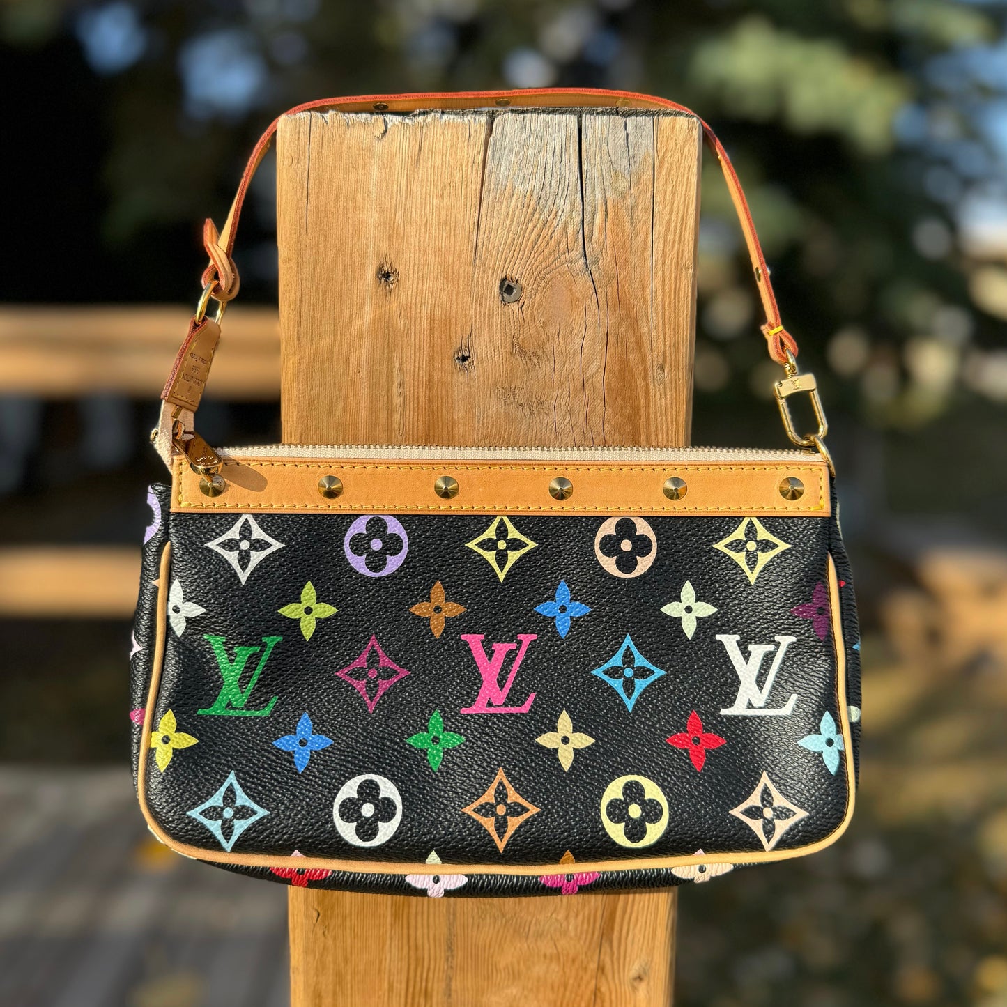 Louis Vuitton Multicolor Monogram Pochette