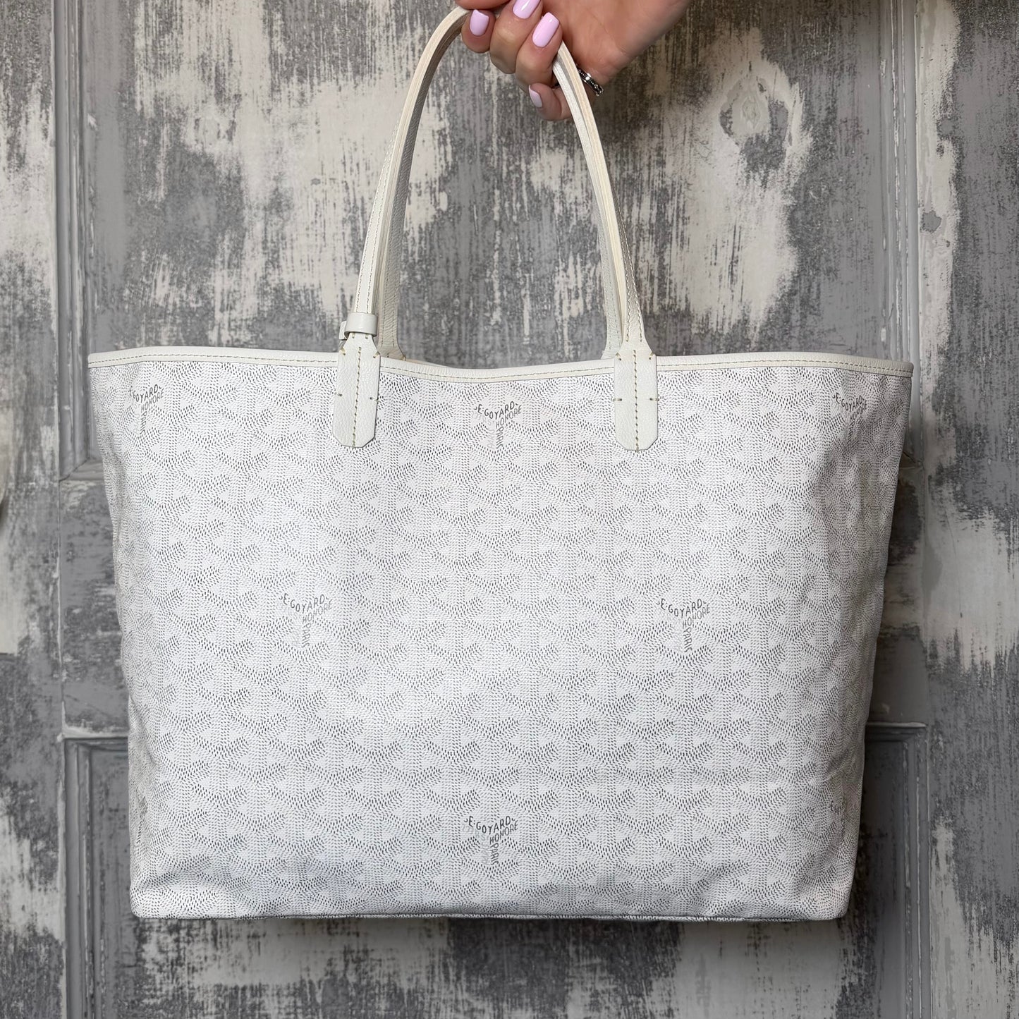 Goyard Saint Louis PM Tote Bag