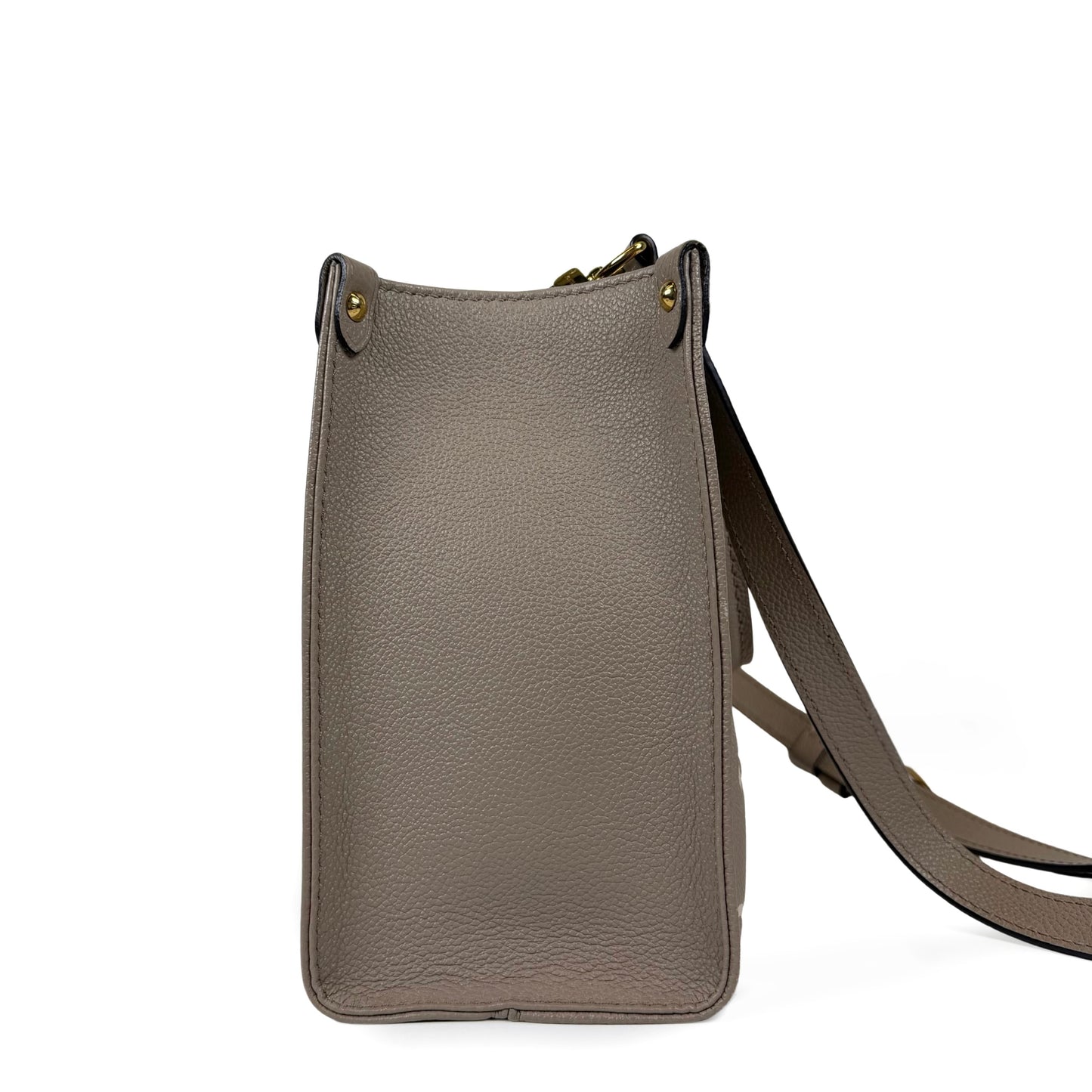 Louis Vuitton OnTheGo Bicolor PM Bag