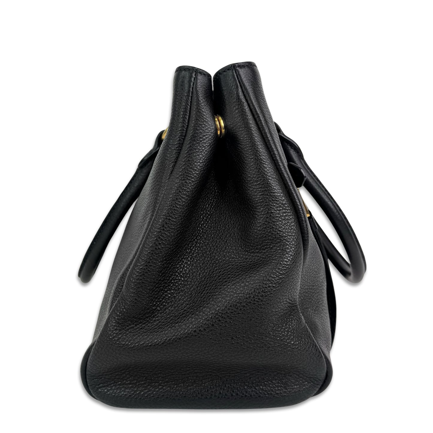 Prada Phenix Bag