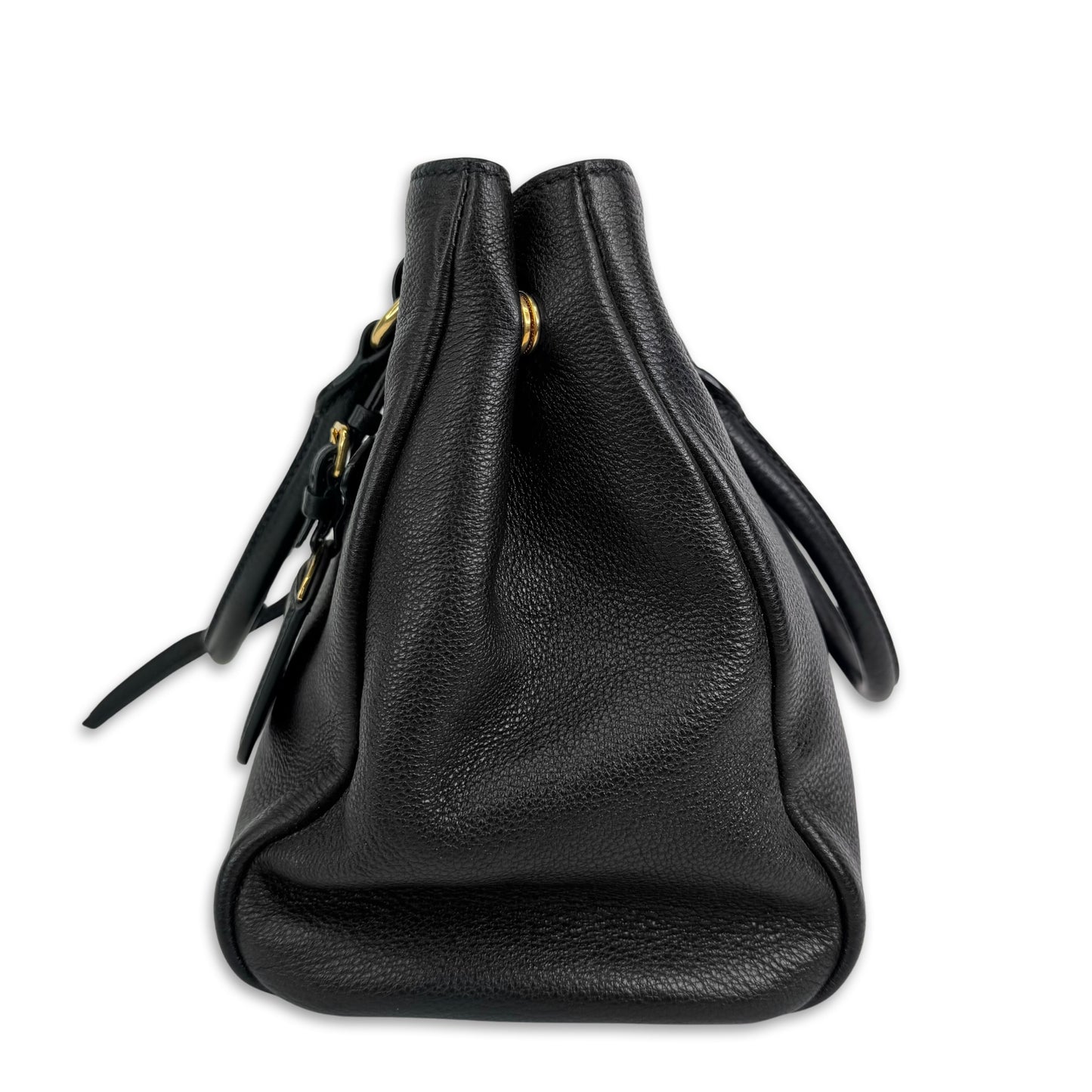 Prada Phenix Bag