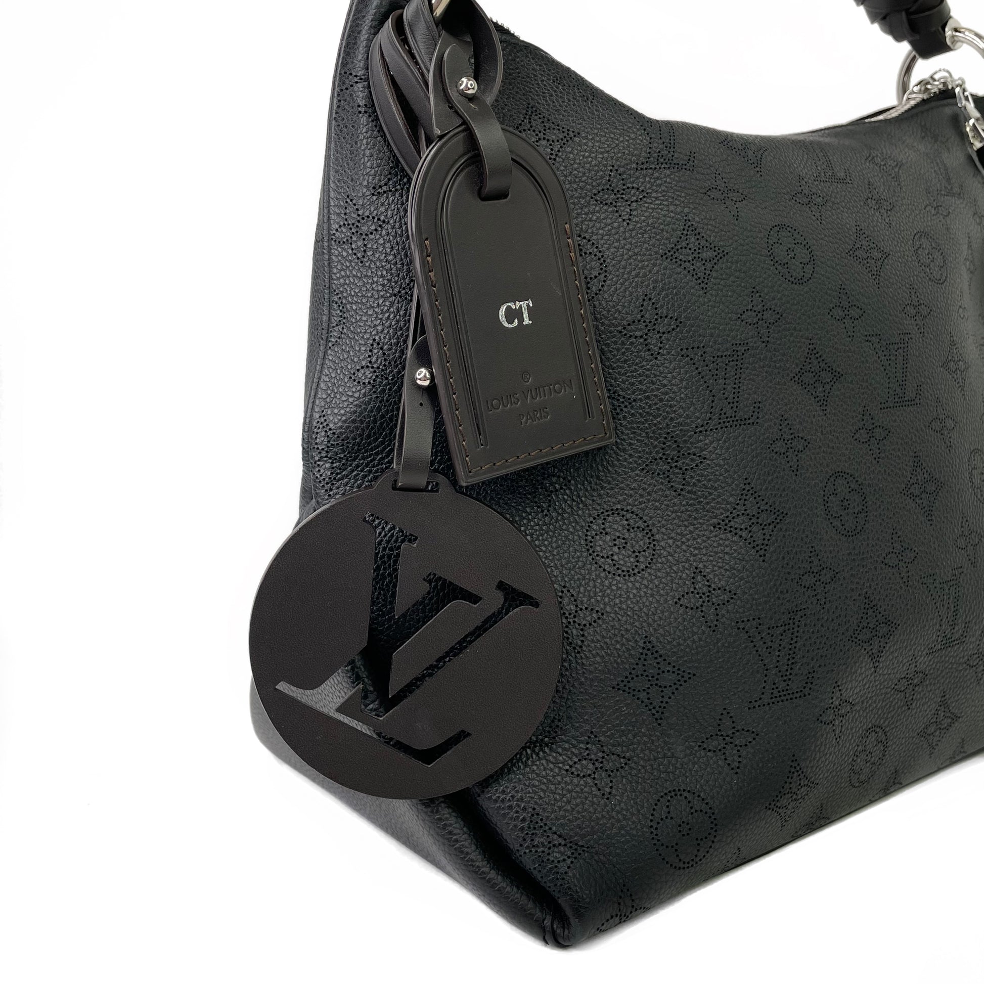 Louis vuitton 2025 hobo handbags